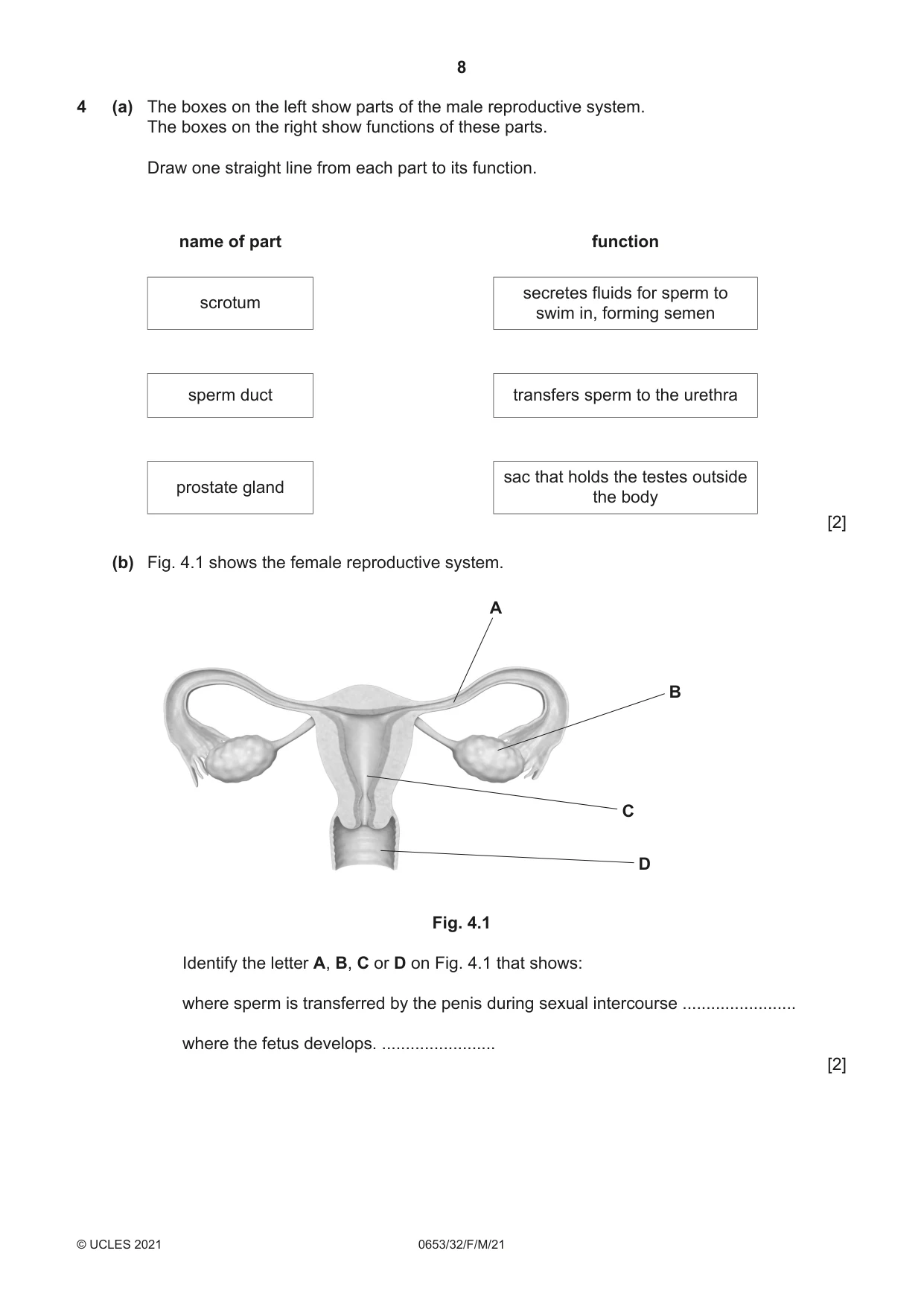 Cambridge IGCSE Science - Combined 0653 2021 Feb/March Paper 3 · Variant 2 question paper, page 8 of 24