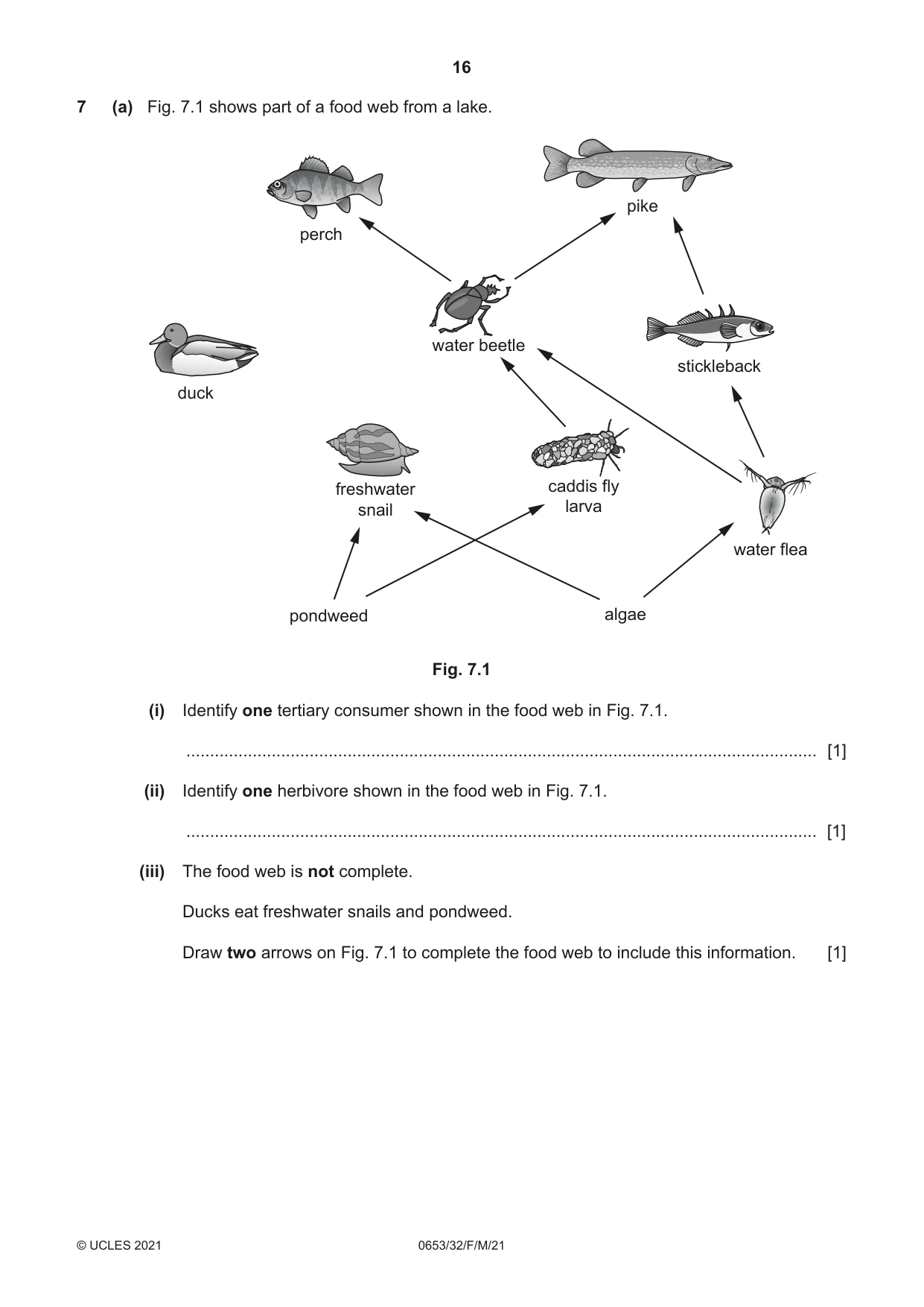 Cambridge IGCSE Science - Combined 0653 2021 Feb/March Paper 3 · Variant 2 question paper, page 16 of 24