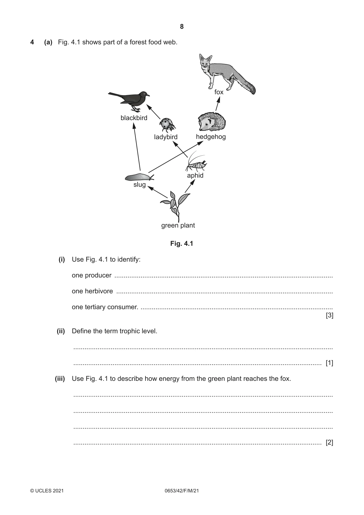 Cambridge IGCSE Science - Combined 0653 2021 Feb/March Paper 4 · Variant 2 question paper, page 8 of 24
