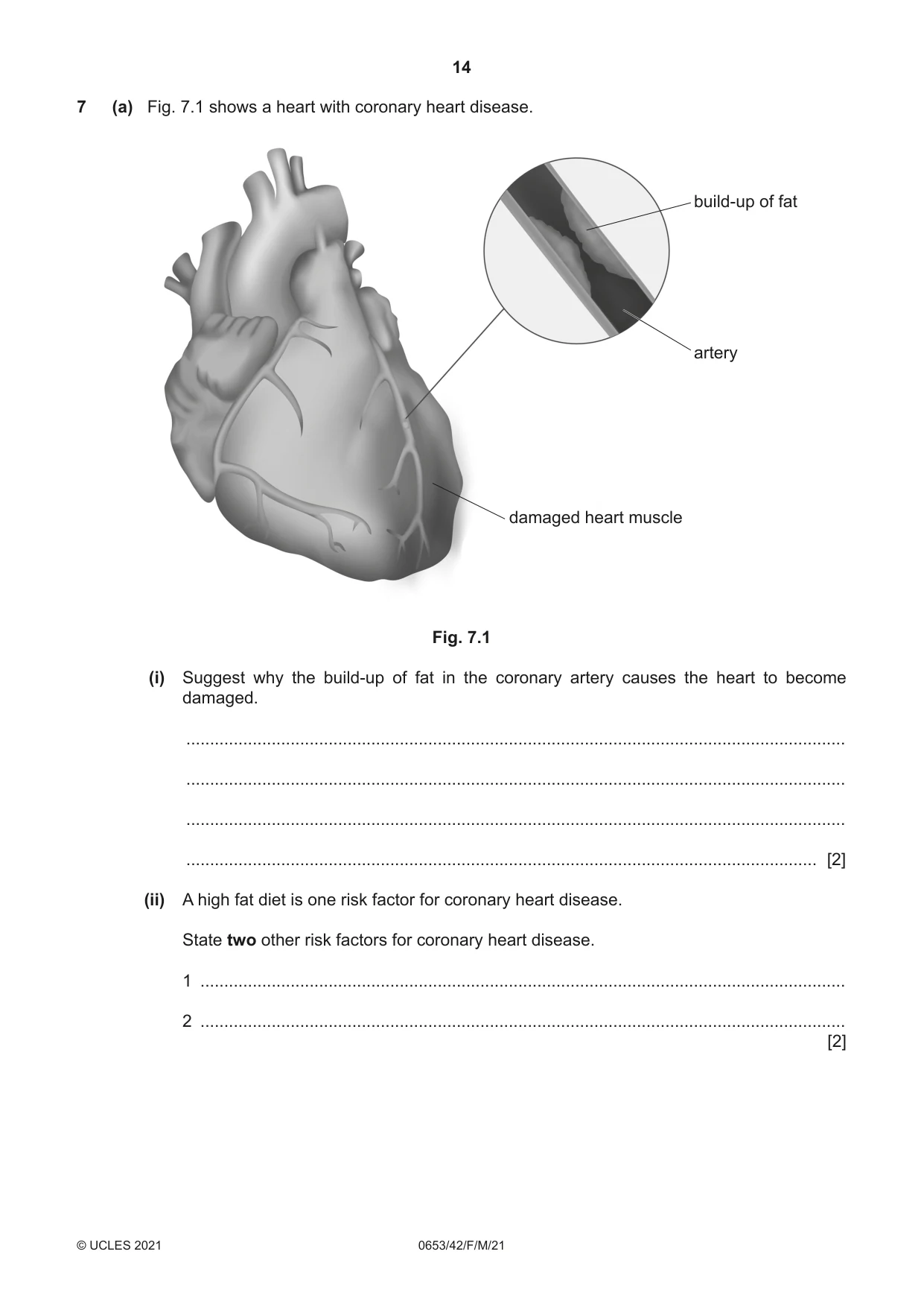 Cambridge IGCSE Science - Combined 0653 2021 Feb/March Paper 4 · Variant 2 question paper, page 14 of 24