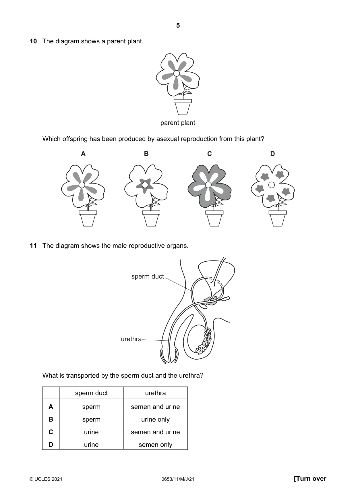 Cambridge IGCSE Science - Combined 0653 2021 May/June Paper 1 · Variant 1 question paper, page 5 of 16