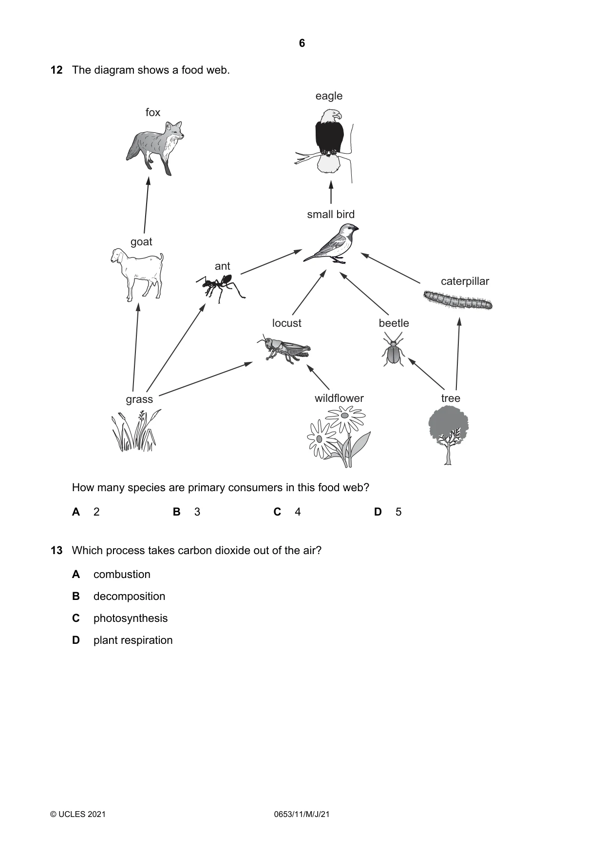 Cambridge IGCSE Science - Combined 0653 2021 May/June Paper 1 · Variant 1 question paper, page 6 of 16