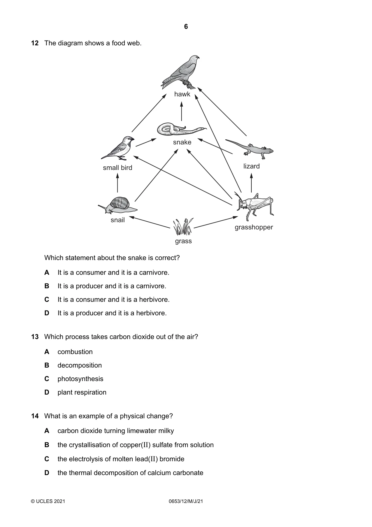 Cambridge IGCSE Science - Combined 0653 2021 May/June Paper 1 · Variant 2 question paper, page 6 of 16