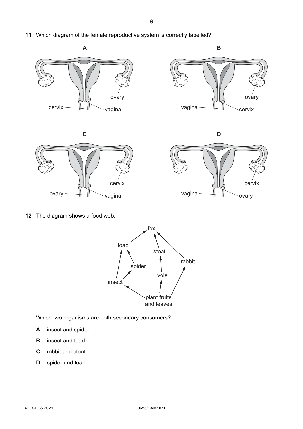 Cambridge IGCSE Science - Combined 0653 2021 May/June Paper 1 · Variant 3 question paper, page 6 of 20