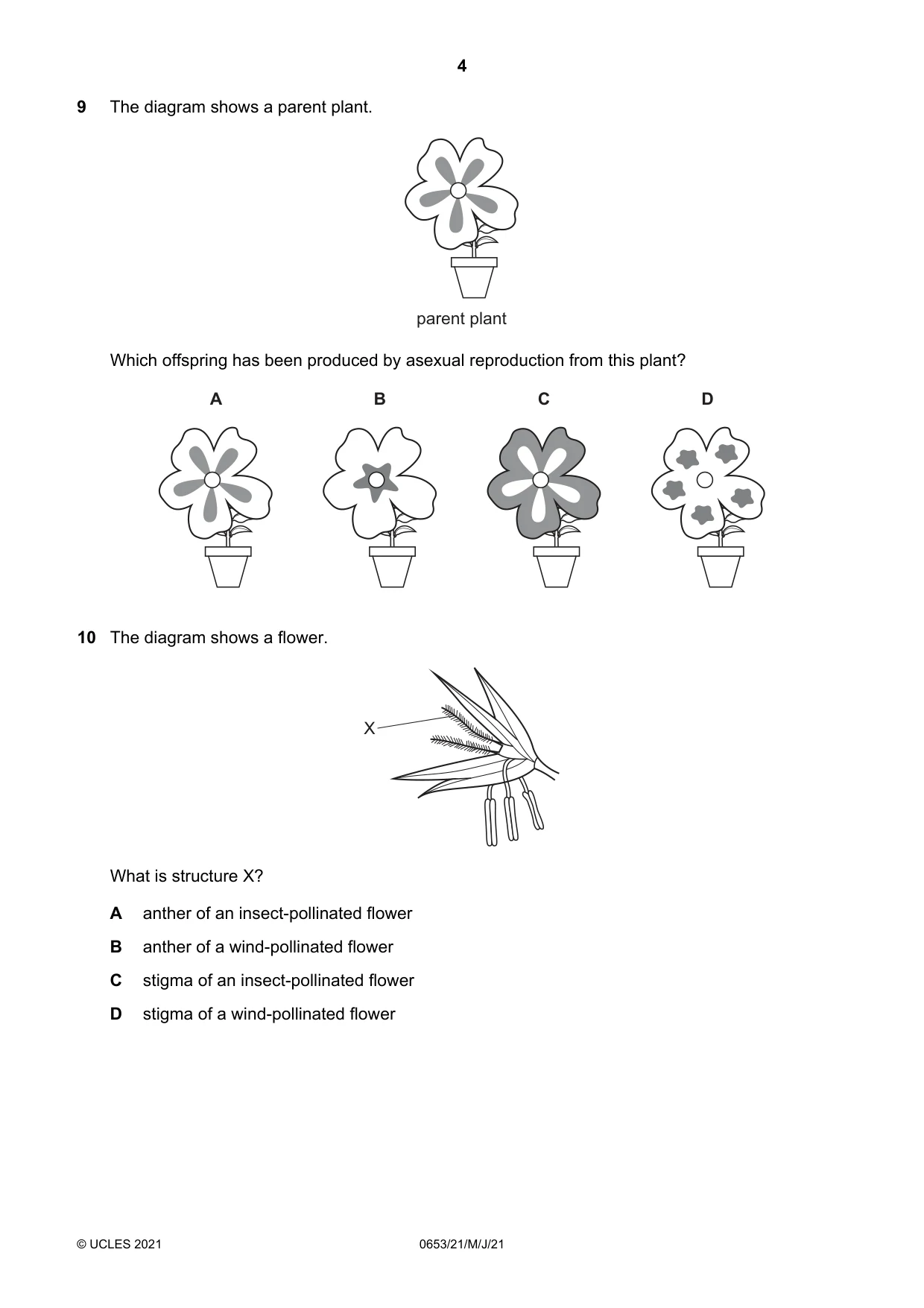 Cambridge IGCSE Science - Combined 0653 2021 May/June Paper 2 · Variant 1 question paper, page 4 of 16