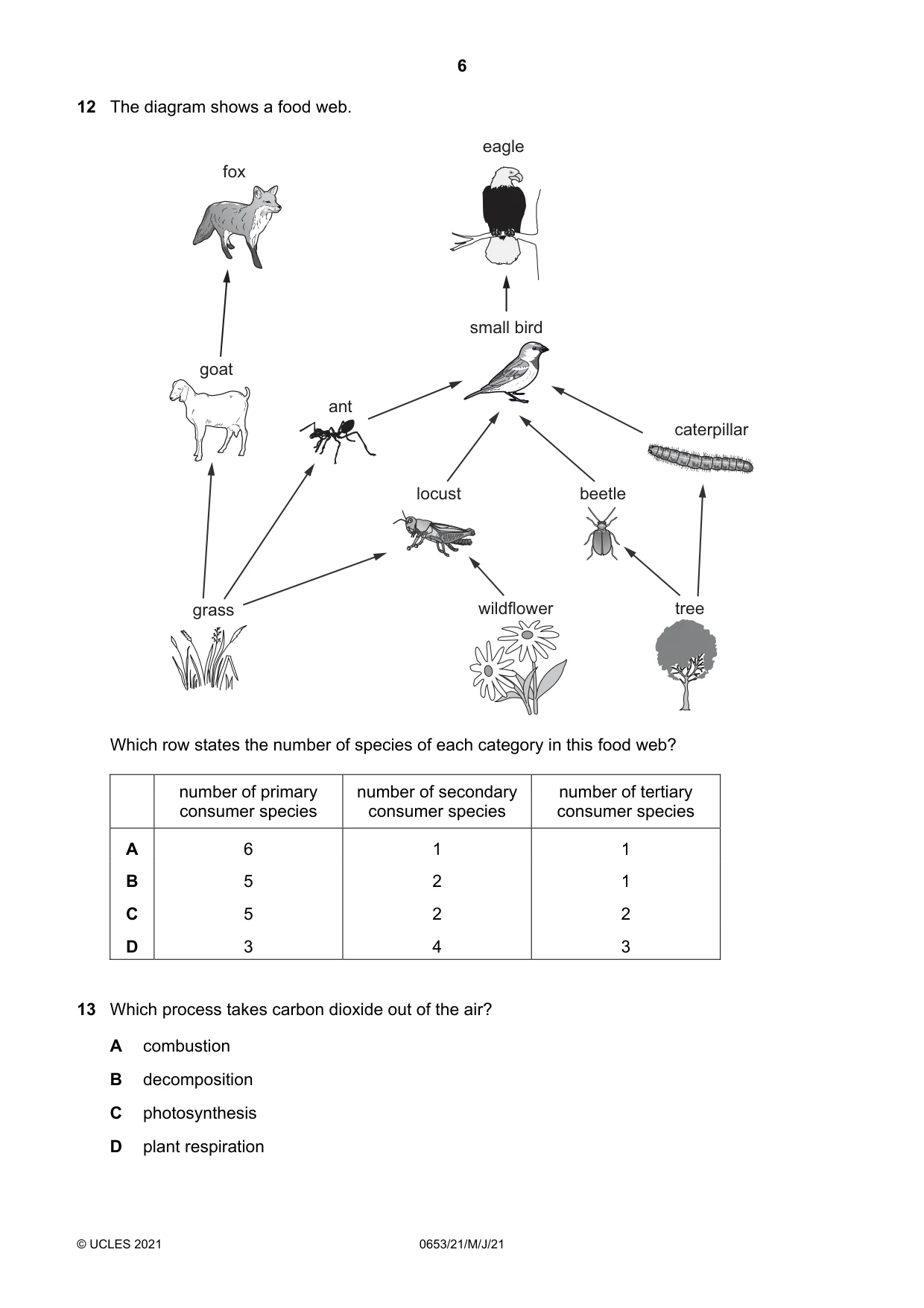 Cambridge IGCSE Science - Combined 0653 2021 May/June Paper 2 · Variant 1 question paper, page 6 of 16