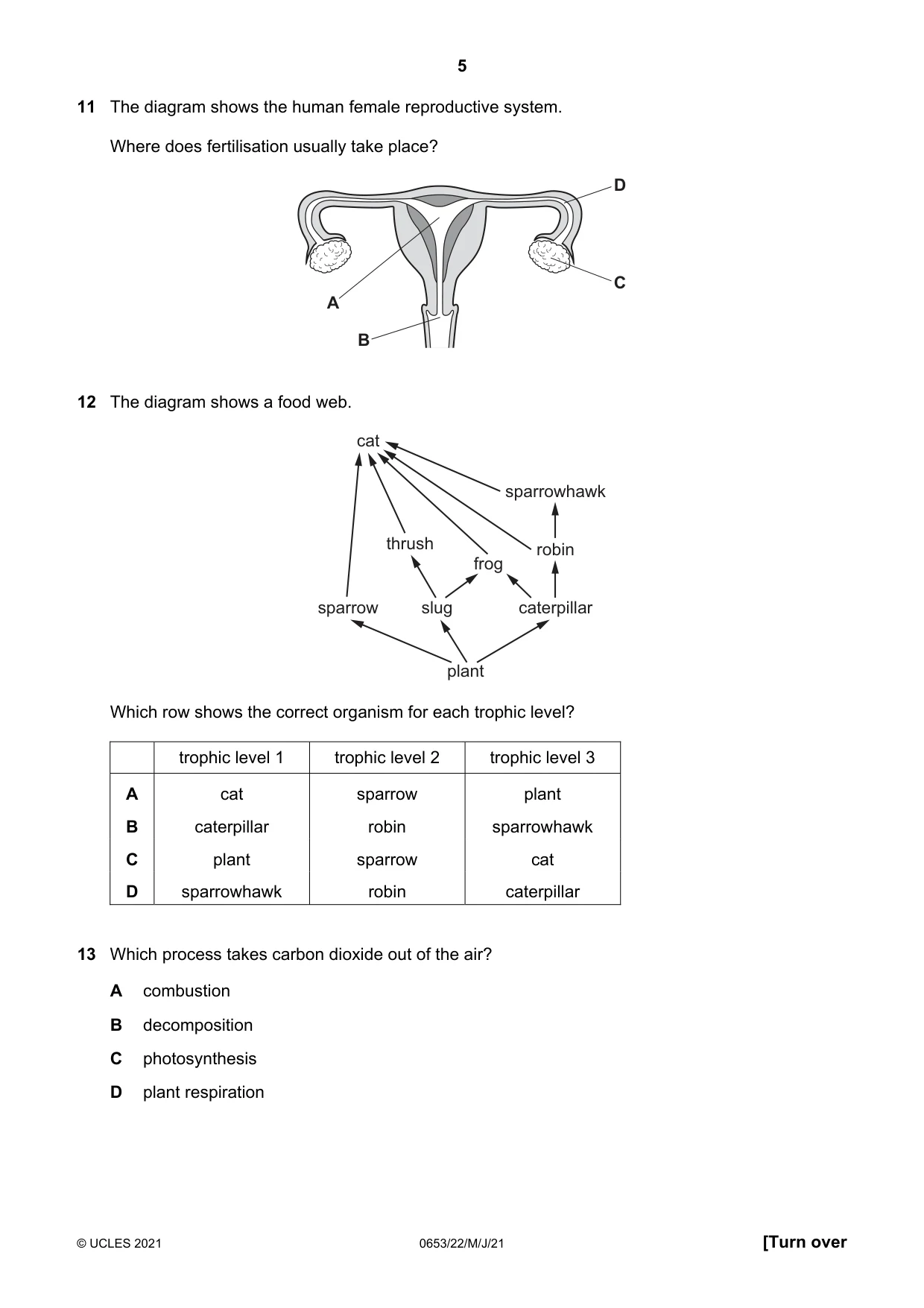 Cambridge IGCSE Science - Combined 0653 2021 May/June Paper 2 · Variant 2 question paper, page 5 of 16