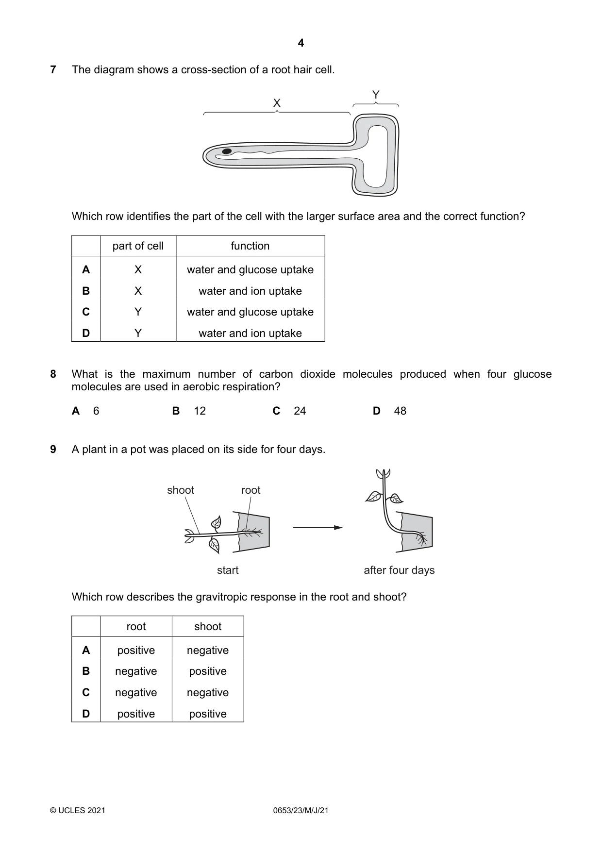 Cambridge IGCSE Science - Combined 0653 2021 May/June Paper 2 · Variant 3 question paper, page 4 of 16