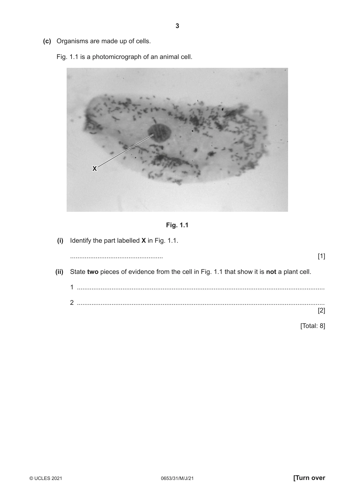Cambridge IGCSE Science - Combined 0653 2021 May/June Paper 3 · Variant 1 question paper, page 3 of 20