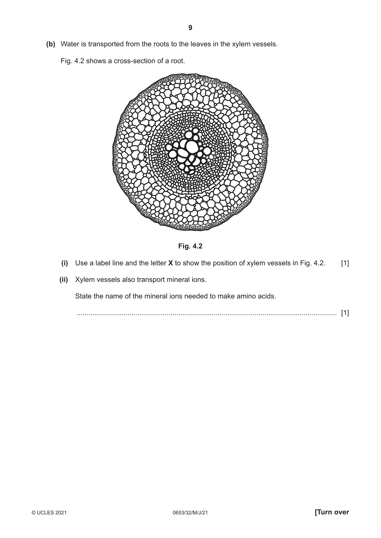 Cambridge IGCSE Science - Combined 0653 2021 May/June Paper 3 · Variant 2 question paper, page 9 of 24