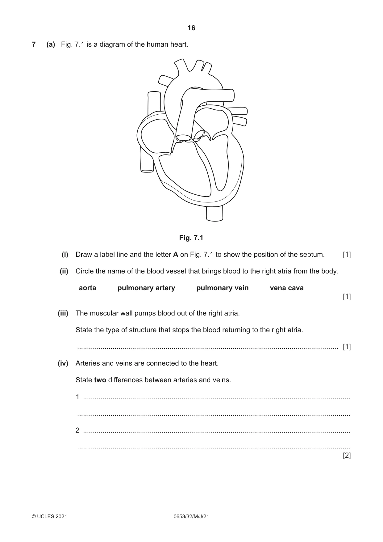 Cambridge IGCSE Science - Combined 0653 2021 May/June Paper 3 · Variant 2 question paper, page 16 of 24