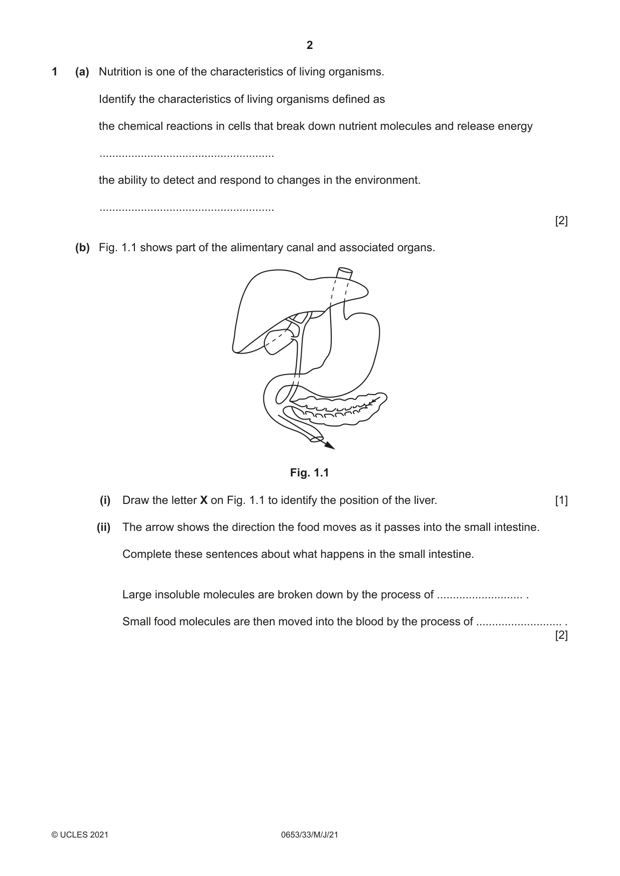 Cambridge IGCSE Science - Combined 0653 2021 May/June Paper 3 · Variant 3 question paper, page 2 of 24