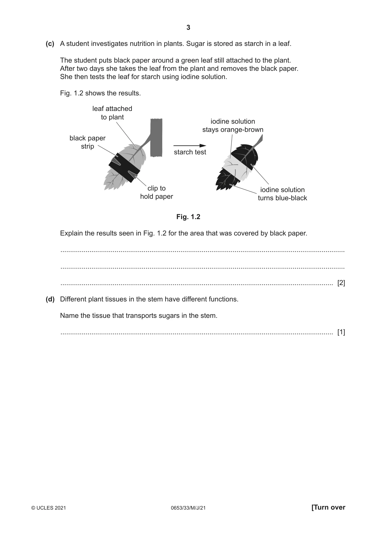 Cambridge IGCSE Science - Combined 0653 2021 May/June Paper 3 · Variant 3 question paper, page 3 of 24