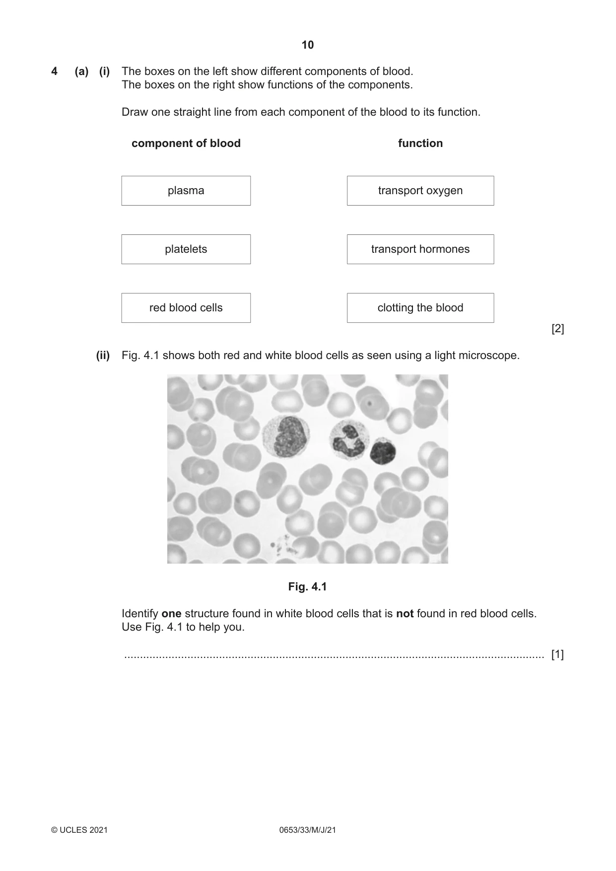 Cambridge IGCSE Science - Combined 0653 2021 May/June Paper 3 · Variant 3 question paper, page 10 of 24