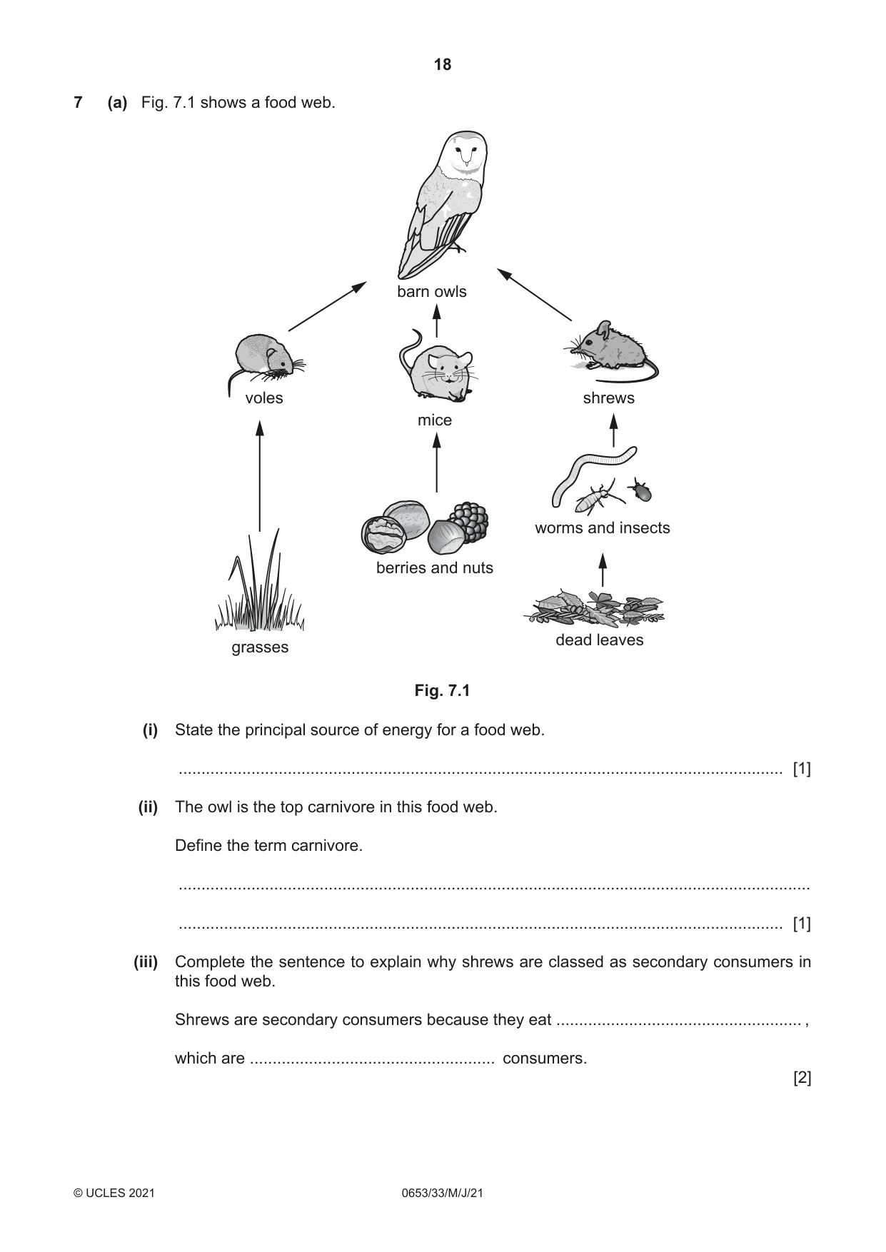 Cambridge IGCSE Science - Combined 0653 2021 May/June Paper 3 · Variant 3 question paper, page 18 of 24