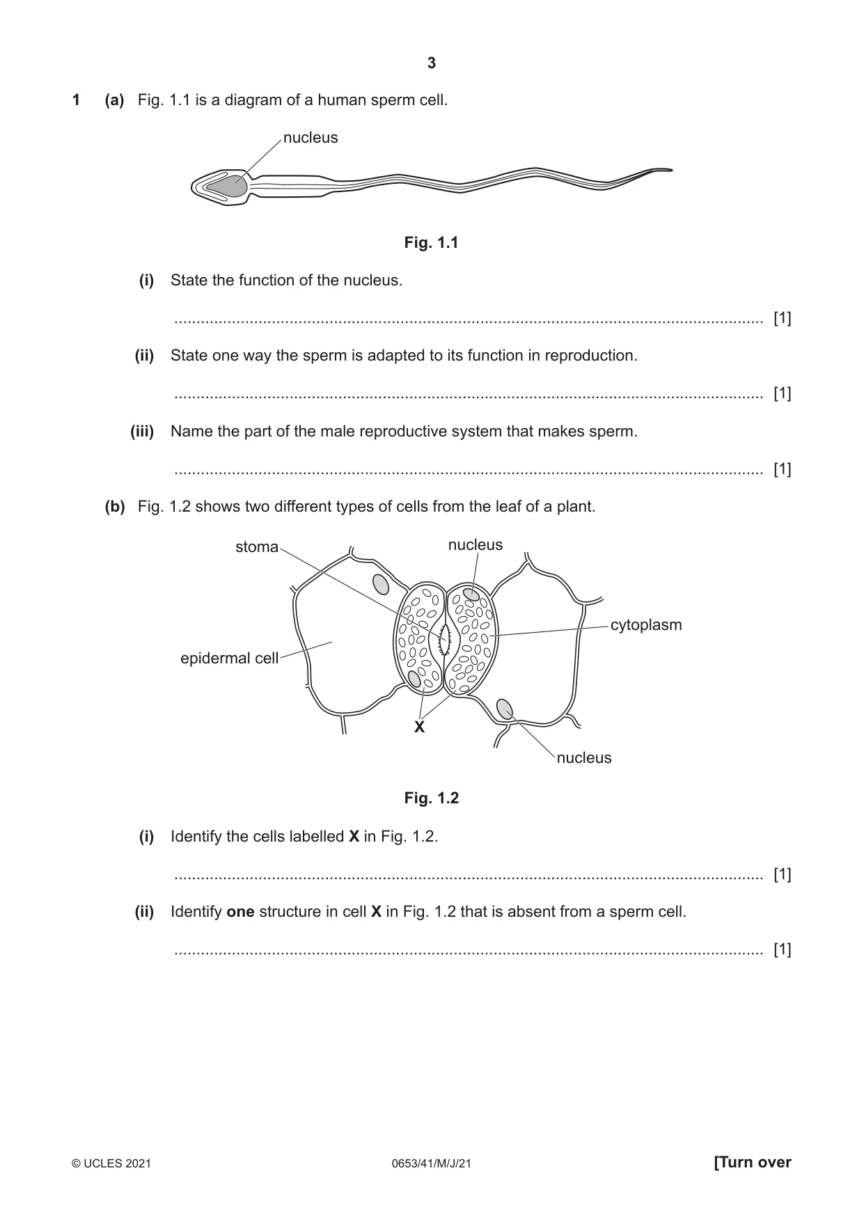 Cambridge IGCSE Science - Combined 0653 2021 May/June Paper 4 · Variant 1 question paper, page 3 of 24