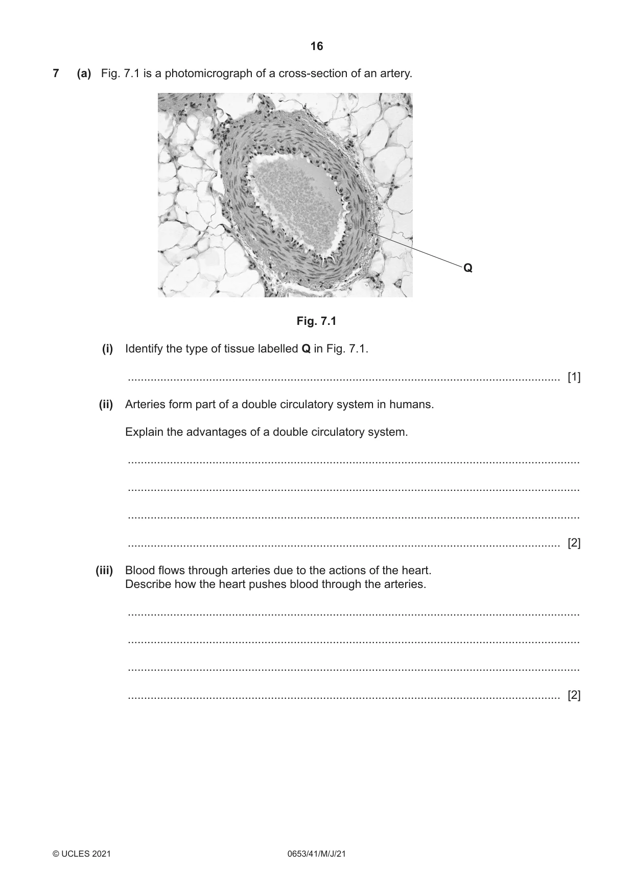 Cambridge IGCSE Science - Combined 0653 2021 May/June Paper 4 · Variant 1 question paper, page 16 of 24