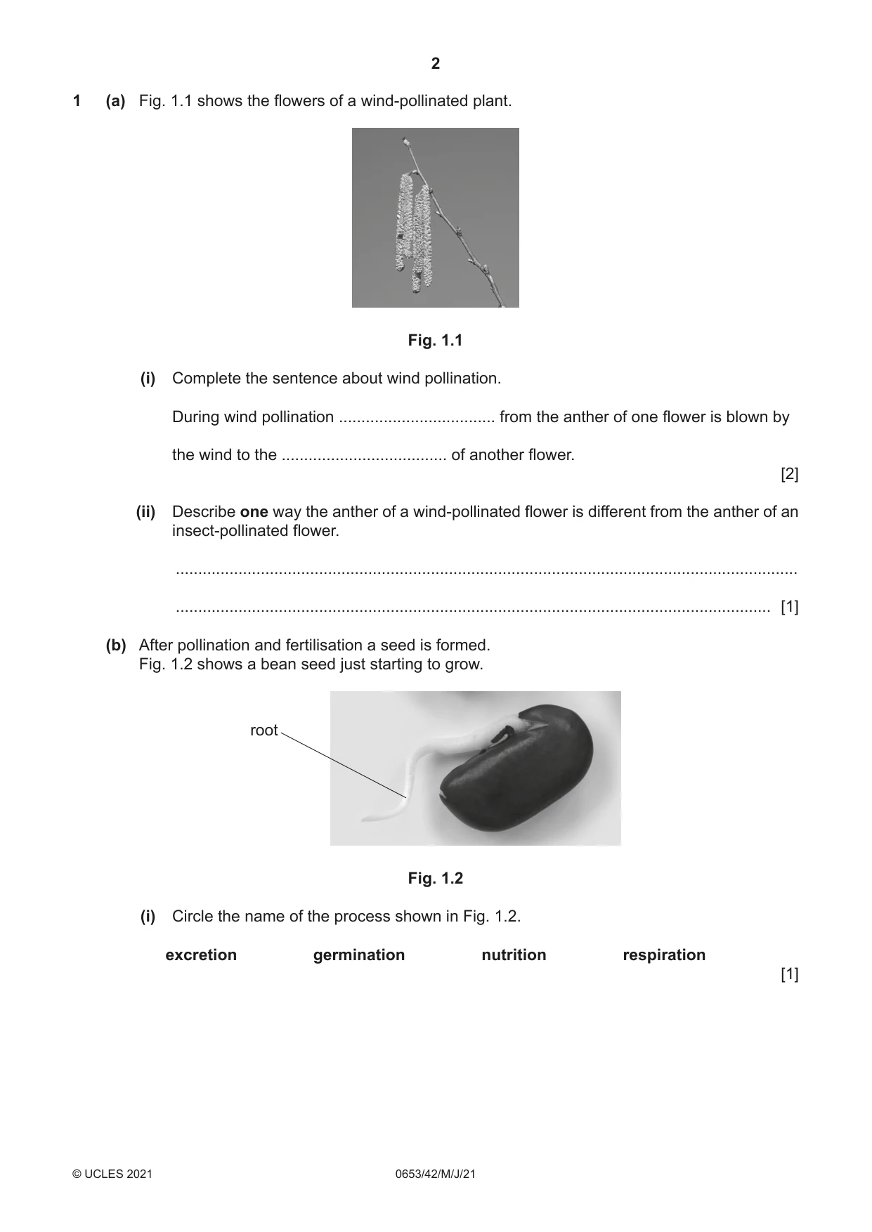 Cambridge IGCSE Science - Combined 0653 2021 May/June Paper 4 · Variant 2 question paper, page 2 of 20