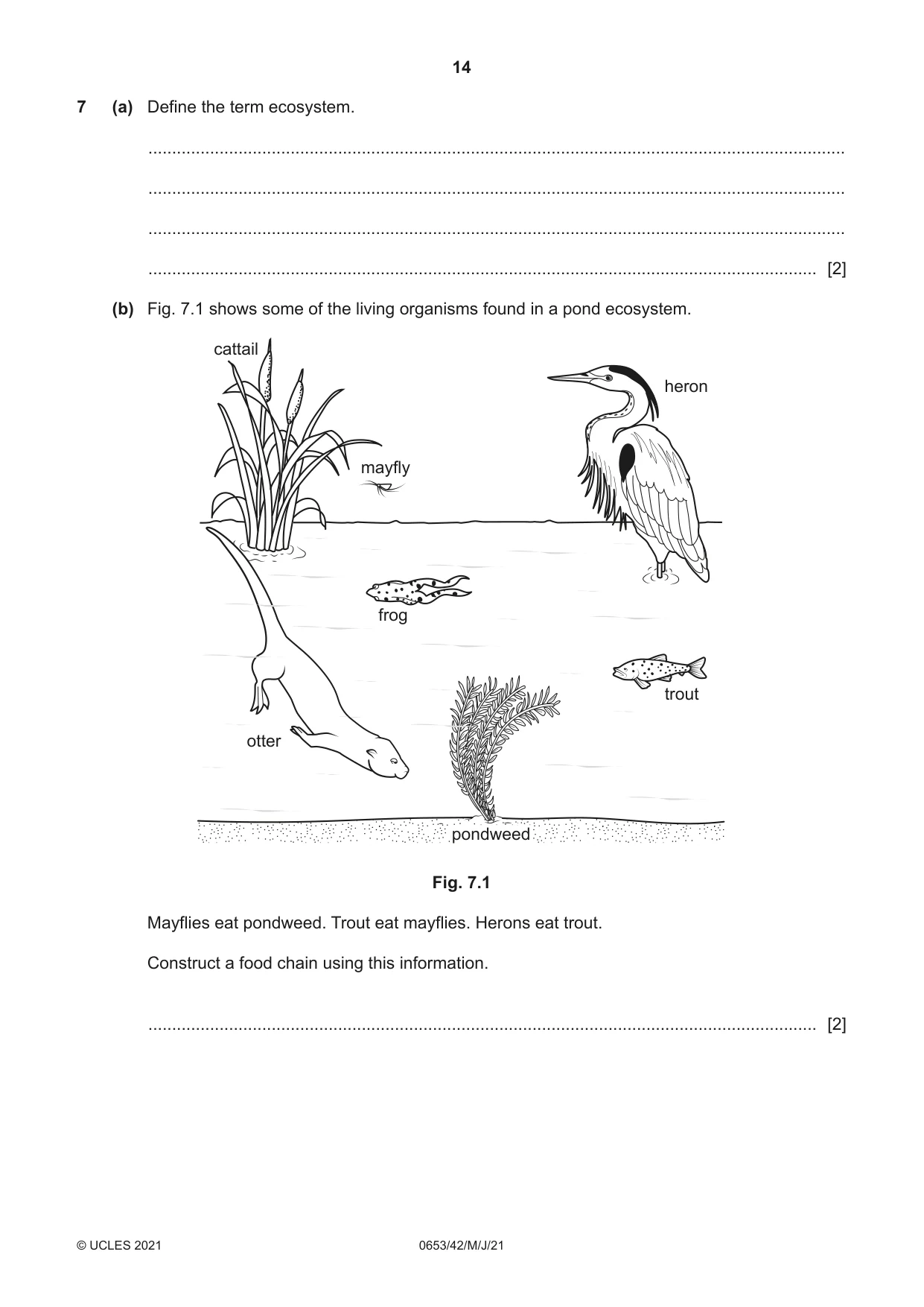 Cambridge IGCSE Science - Combined 0653 2021 May/June Paper 4 · Variant 2 question paper, page 14 of 20