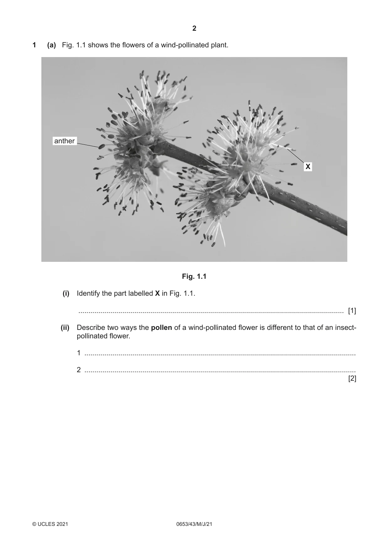 Cambridge IGCSE Science - Combined 0653 2021 May/June Paper 4 · Variant 3 question paper, page 2 of 20