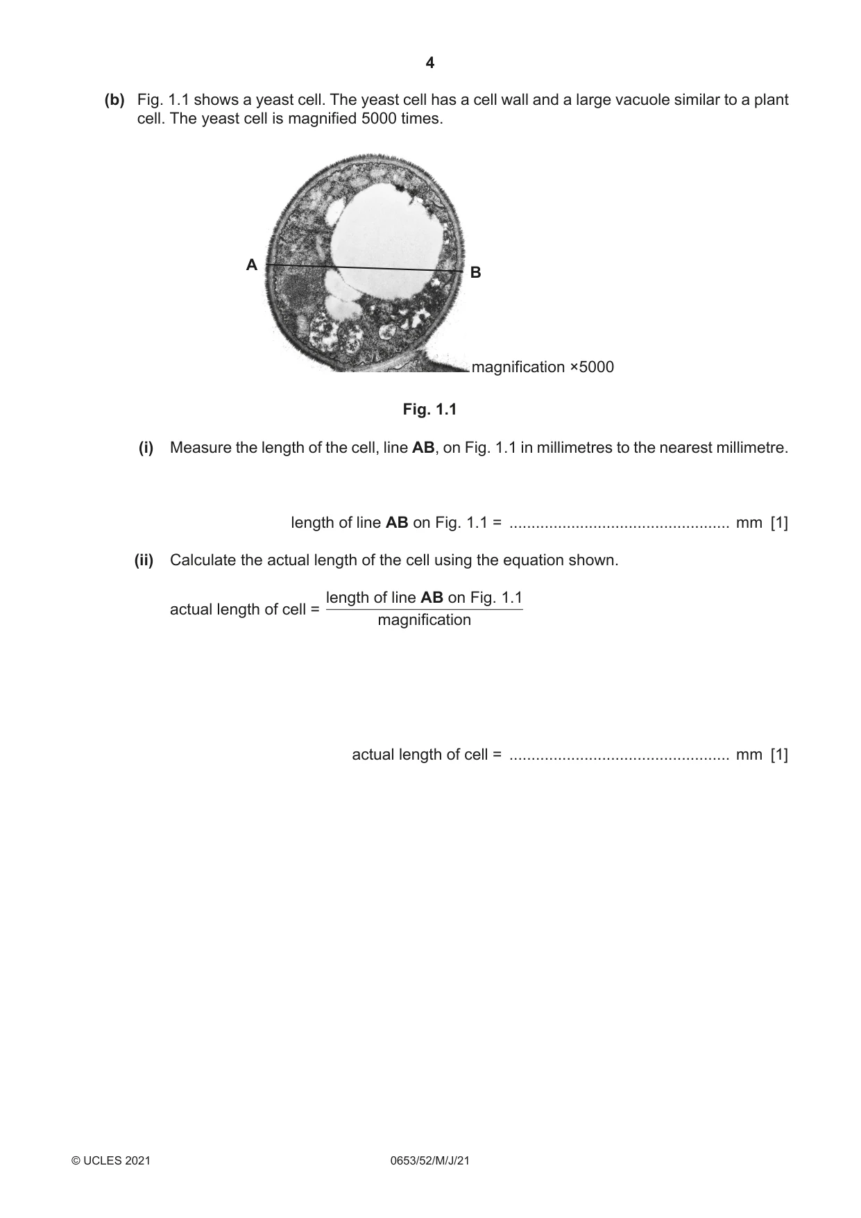 Cambridge IGCSE Science - Combined 0653 2021 May/June Paper 5 · Variant 2 question paper, page 4 of 16