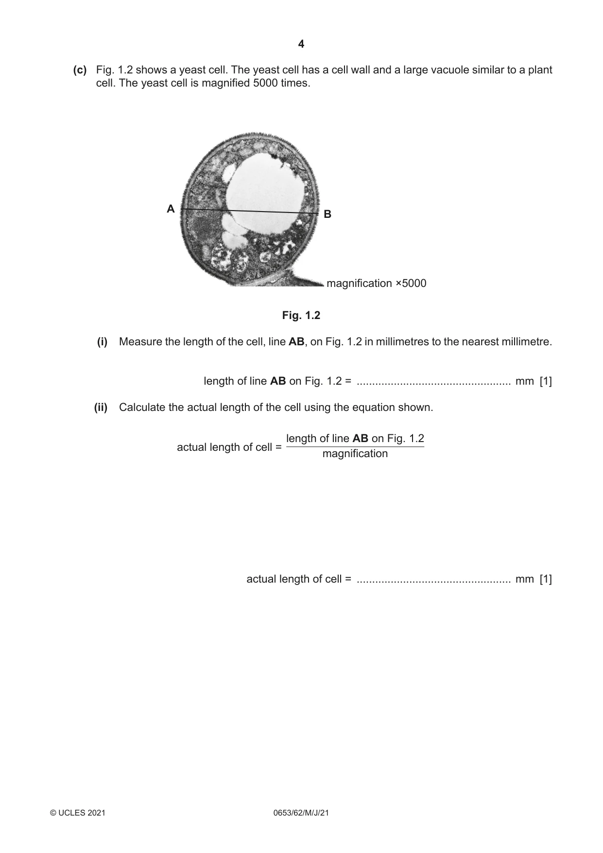 Cambridge IGCSE Science - Combined 0653 2021 May/June Paper 6 · Variant 2 question paper, page 4 of 16