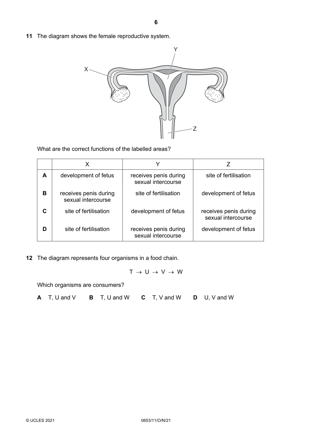 Cambridge IGCSE Science - Combined 0653 2021 Oct/Nov Paper 1 · Variant 1 question paper, page 6 of 16