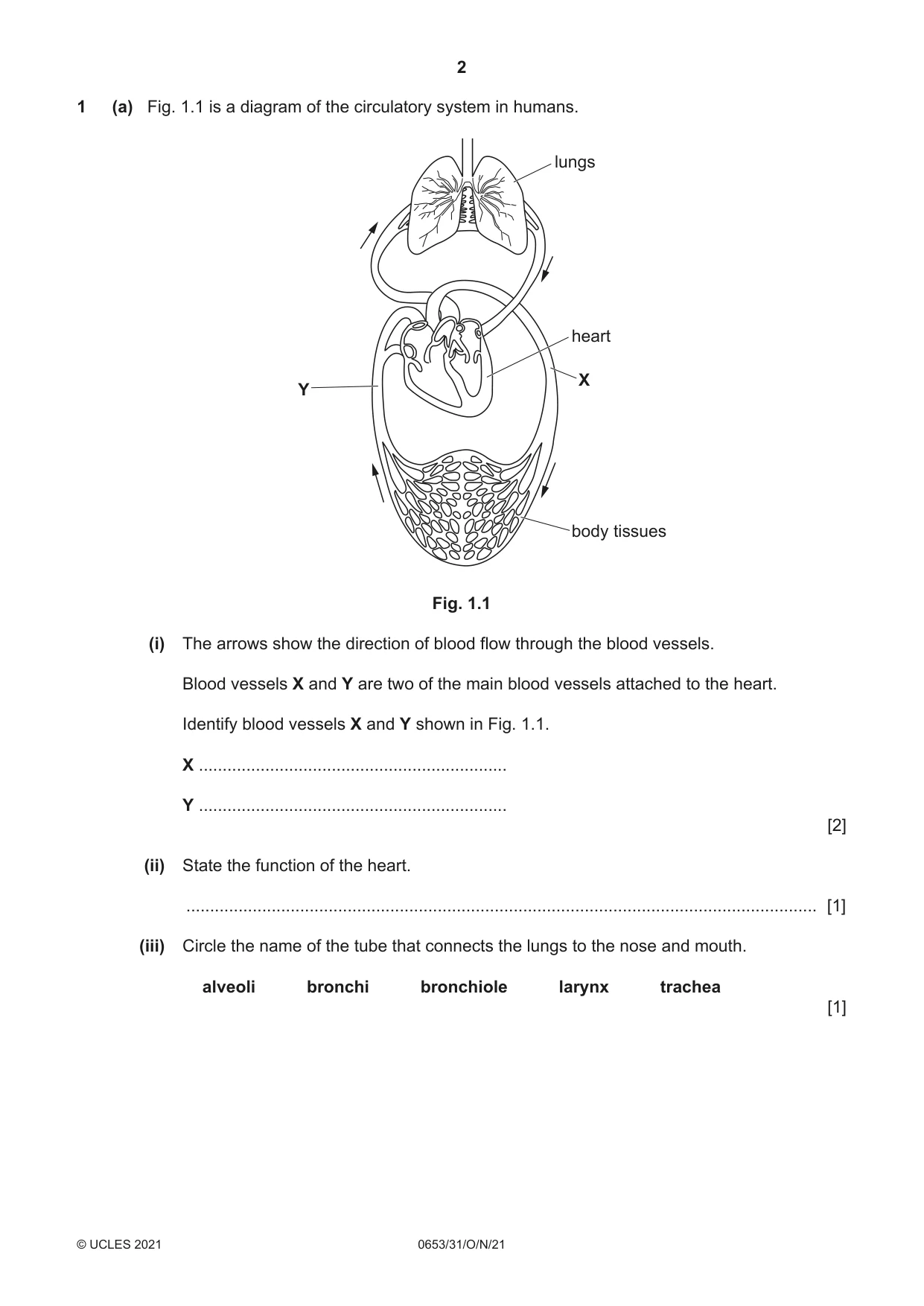 Cambridge IGCSE Science - Combined 0653 2021 Oct/Nov Paper 3 · Variant 1 question paper, page 2 of 24