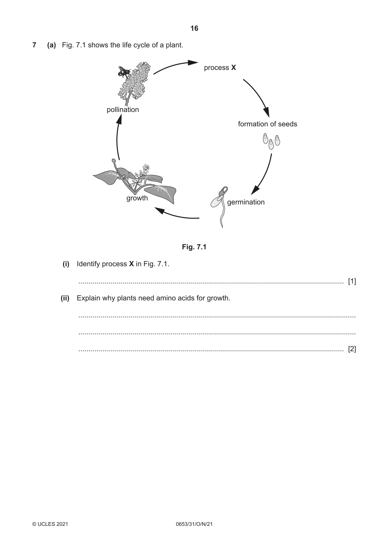 Cambridge IGCSE Science - Combined 0653 2021 Oct/Nov Paper 3 · Variant 1 question paper, page 16 of 24