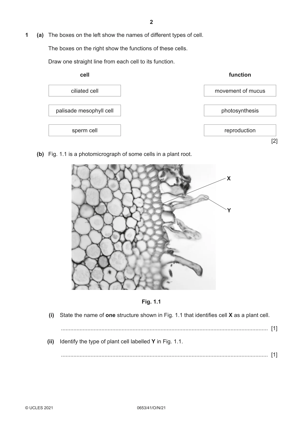Cambridge IGCSE Science - Combined 0653 2021 Oct/Nov Paper 4 · Variant 1 question paper, page 2 of 20