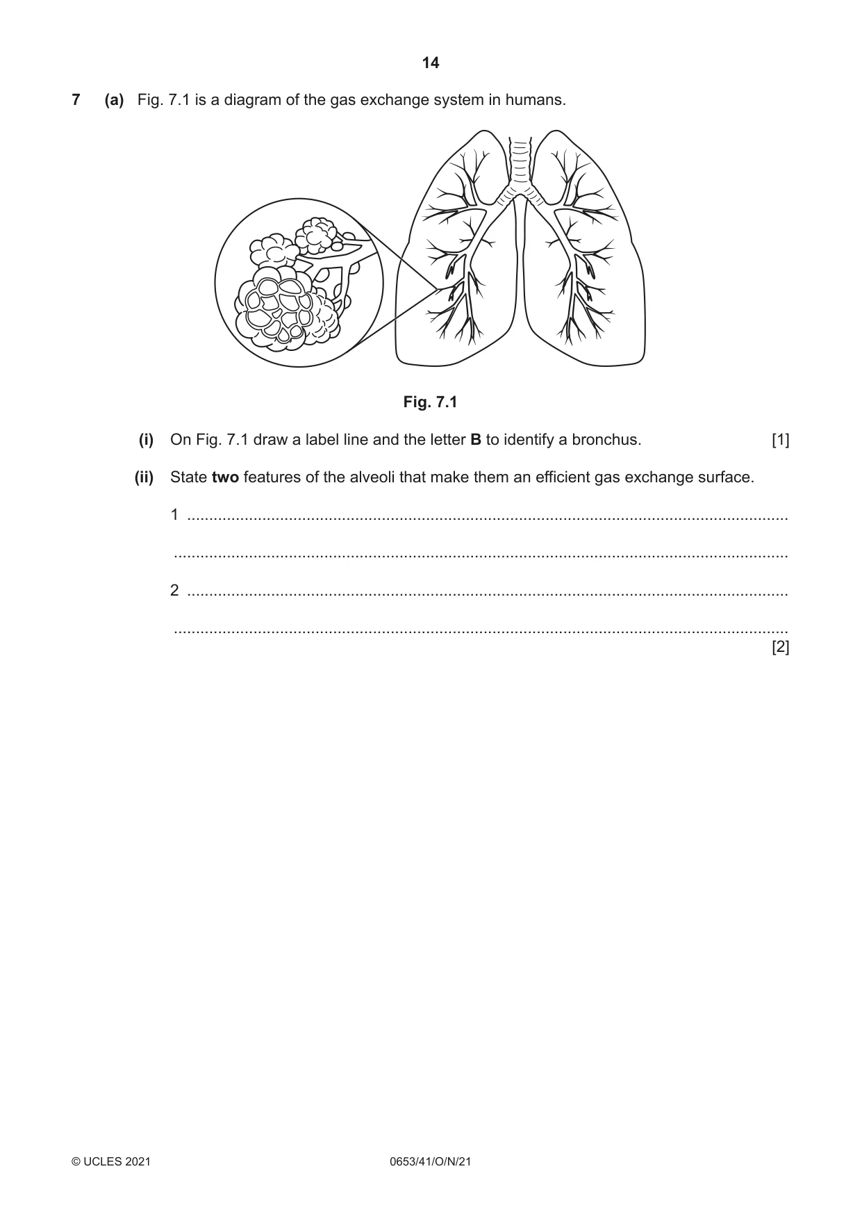Cambridge IGCSE Science - Combined 0653 2021 Oct/Nov Paper 4 · Variant 1 question paper, page 14 of 20
