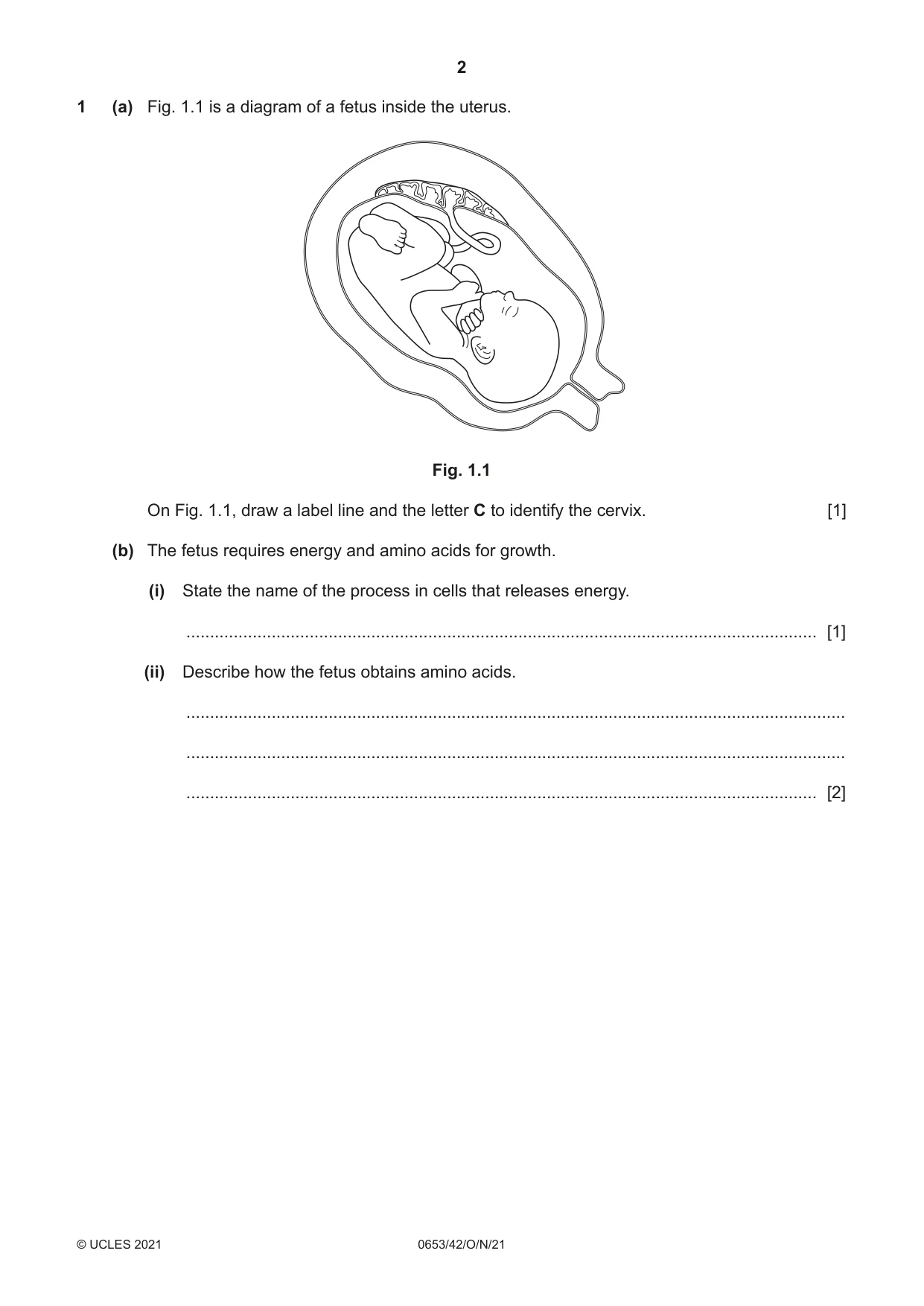 Cambridge IGCSE Science - Combined 0653 2021 Oct/Nov Paper 4 · Variant 2 question paper, page 2 of 24