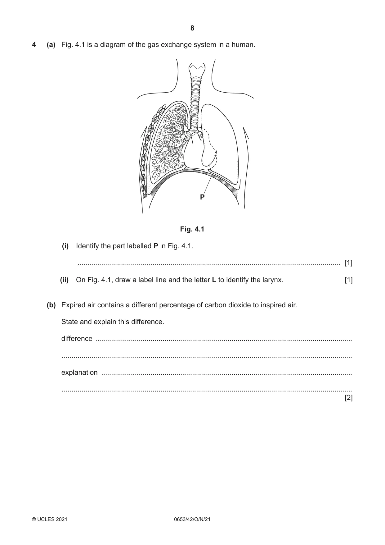 Cambridge IGCSE Science - Combined 0653 2021 Oct/Nov Paper 4 · Variant 2 question paper, page 8 of 24