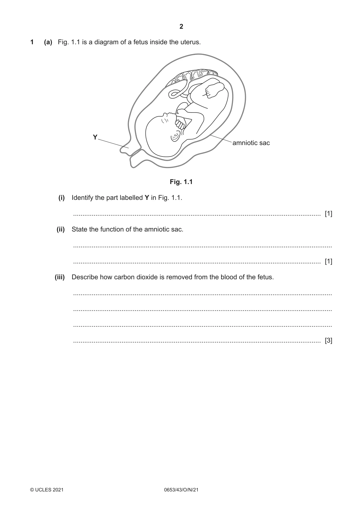 Cambridge IGCSE Science - Combined 0653 2021 Oct/Nov Paper 4 · Variant 3 question paper, page 2 of 24