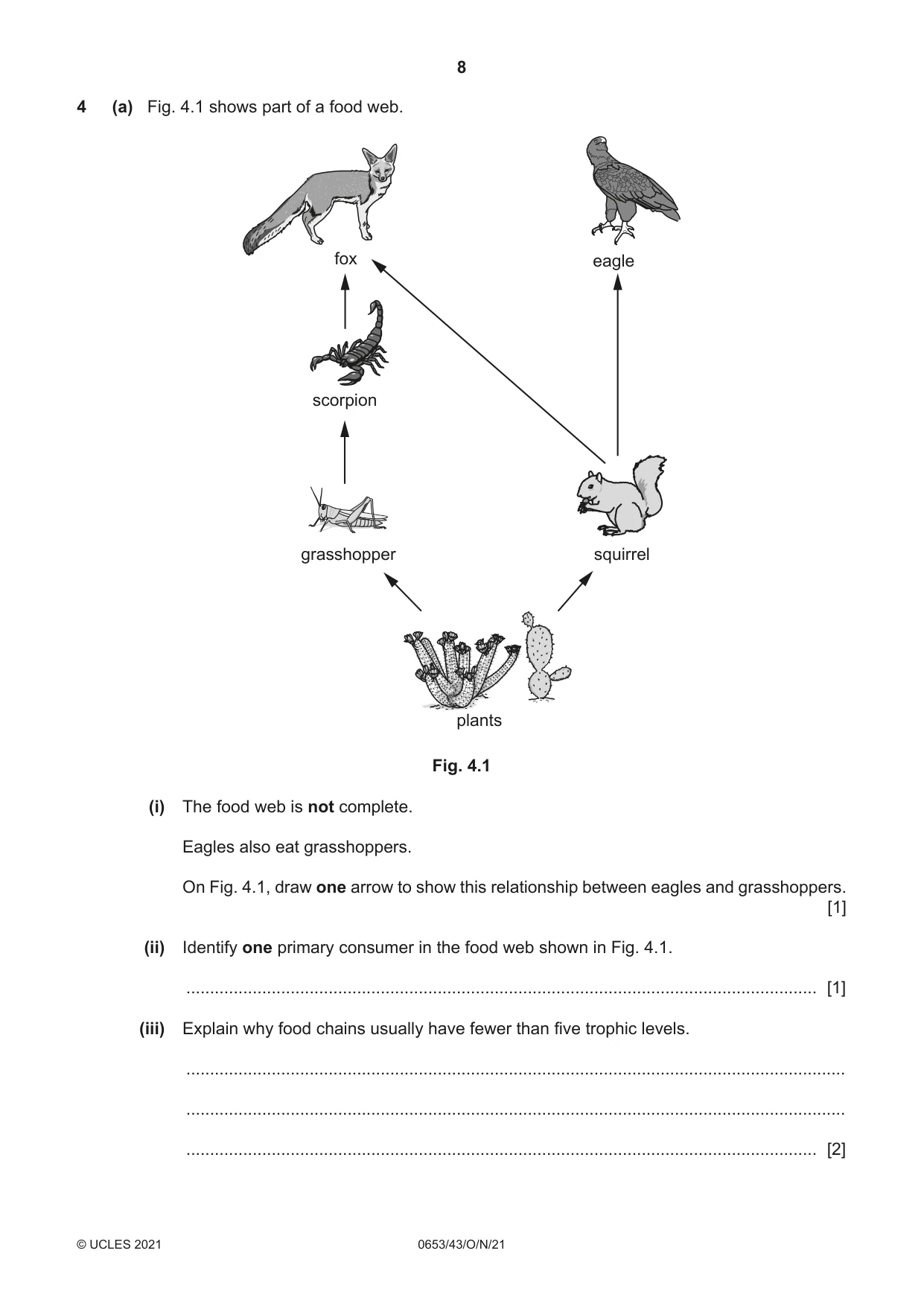 Cambridge IGCSE Science - Combined 0653 2021 Oct/Nov Paper 4 · Variant 3 question paper, page 8 of 24