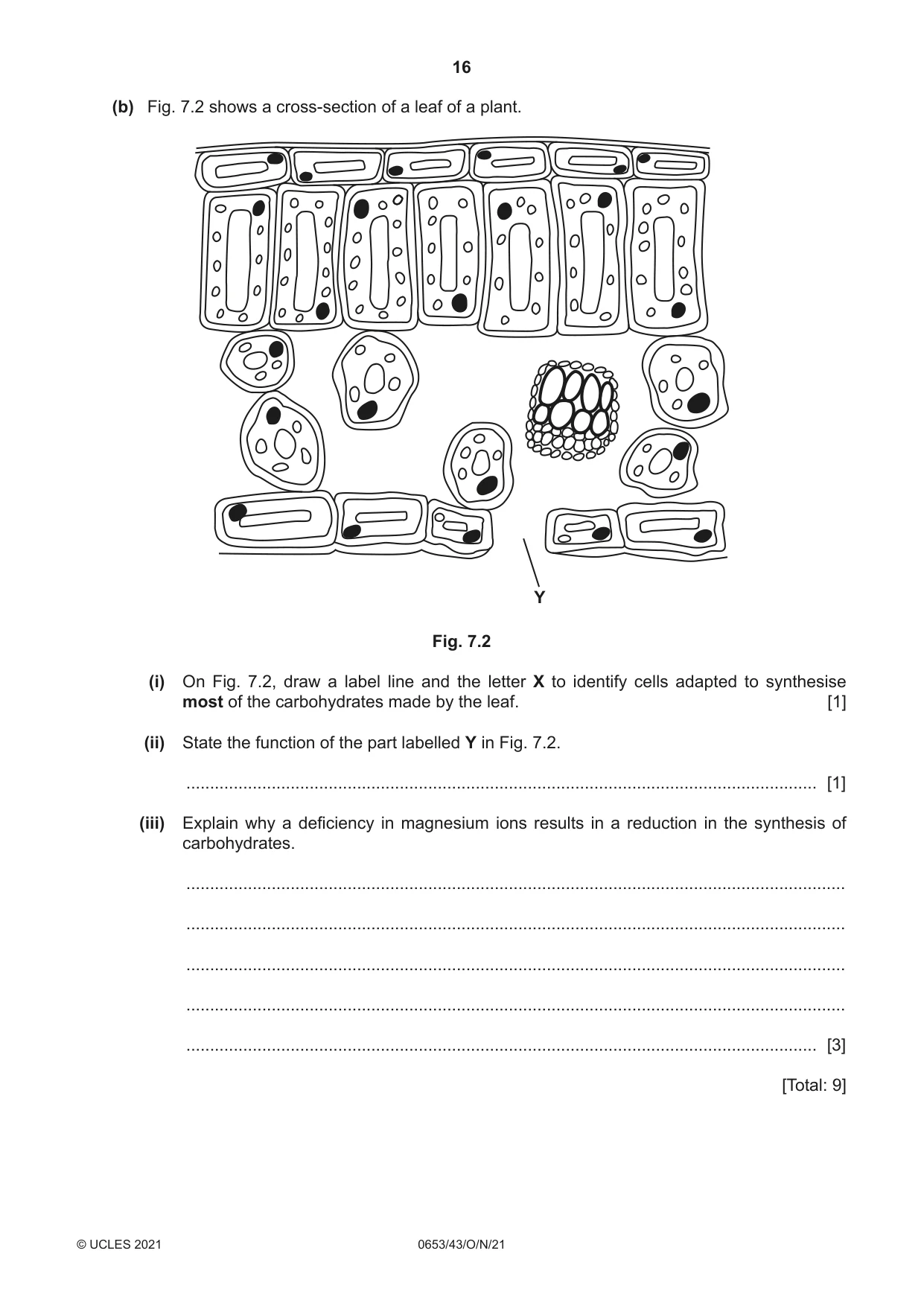 Cambridge IGCSE Science - Combined 0653 2021 Oct/Nov Paper 4 · Variant 3 question paper, page 16 of 24