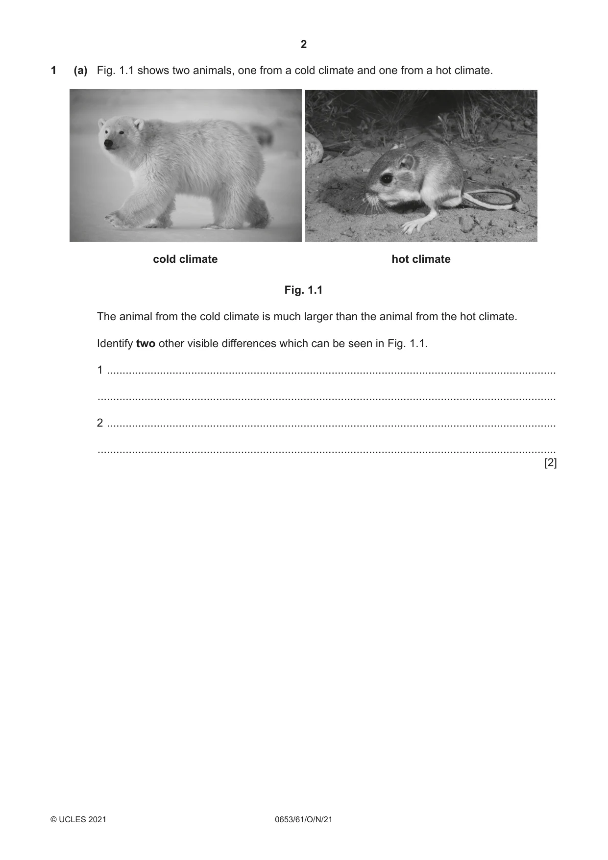 Cambridge IGCSE Science - Combined 0653 2021 Oct/Nov Paper 6 · Variant 1 question paper, page 2 of 20