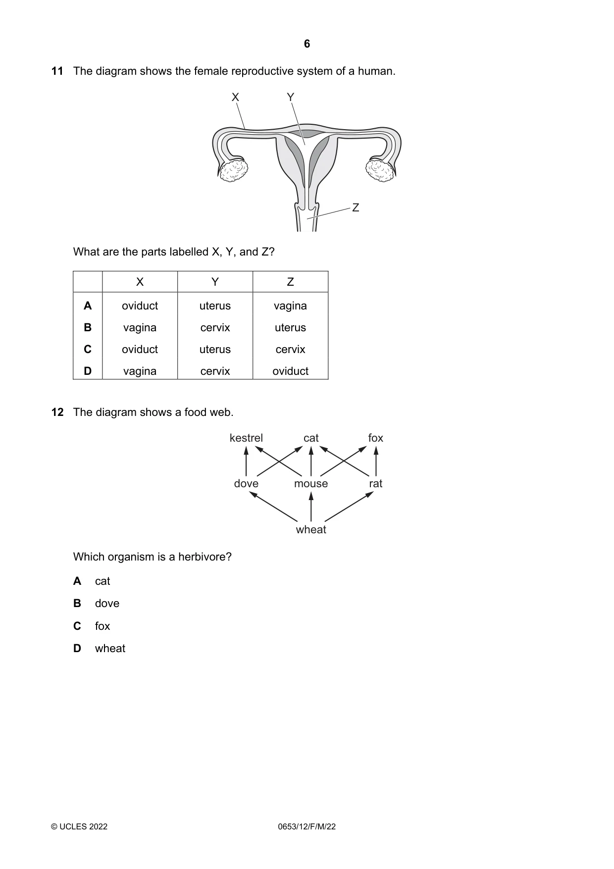 Cambridge IGCSE Science - Combined 0653 2022 Feb/March Paper 1 · Variant 2 question paper, page 6 of 16