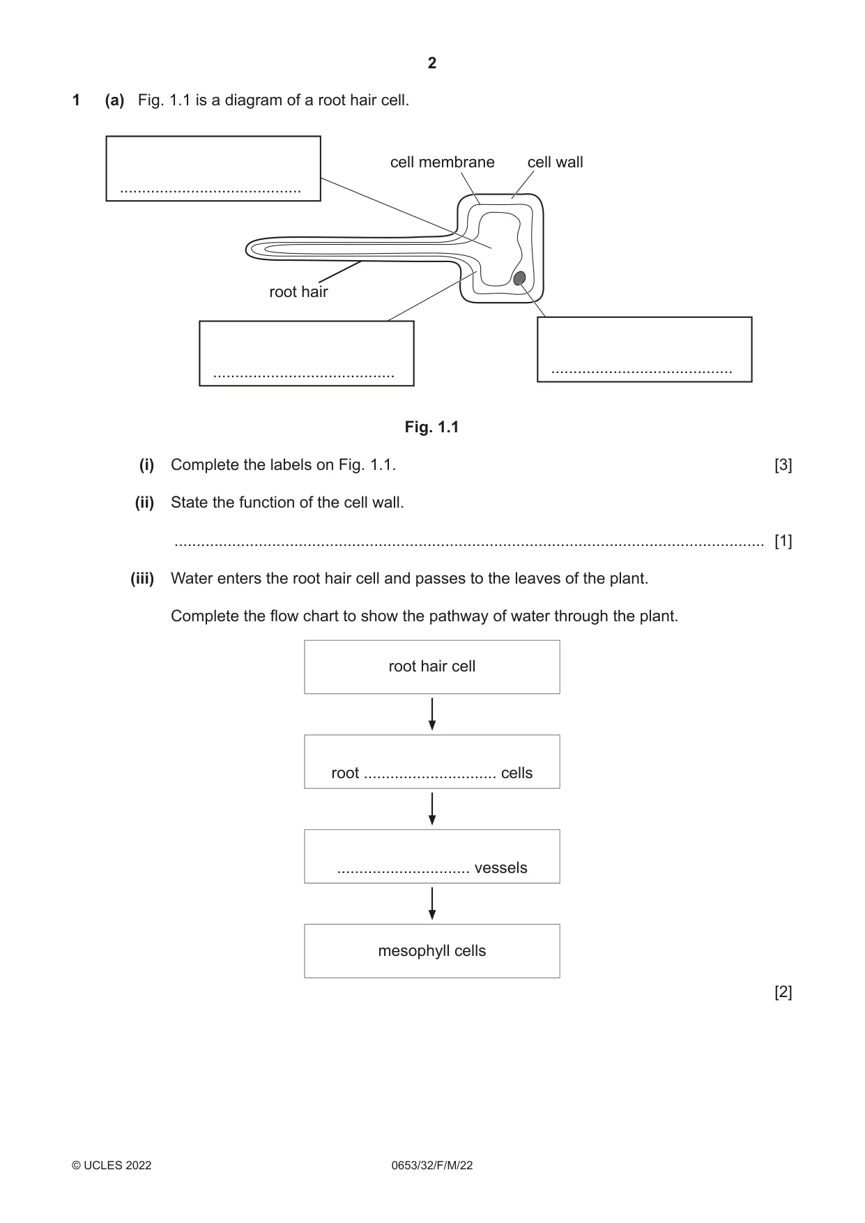 Cambridge IGCSE Science - Combined 0653 2022 Feb/March Paper 3 · Variant 2 question paper, page 2 of 24