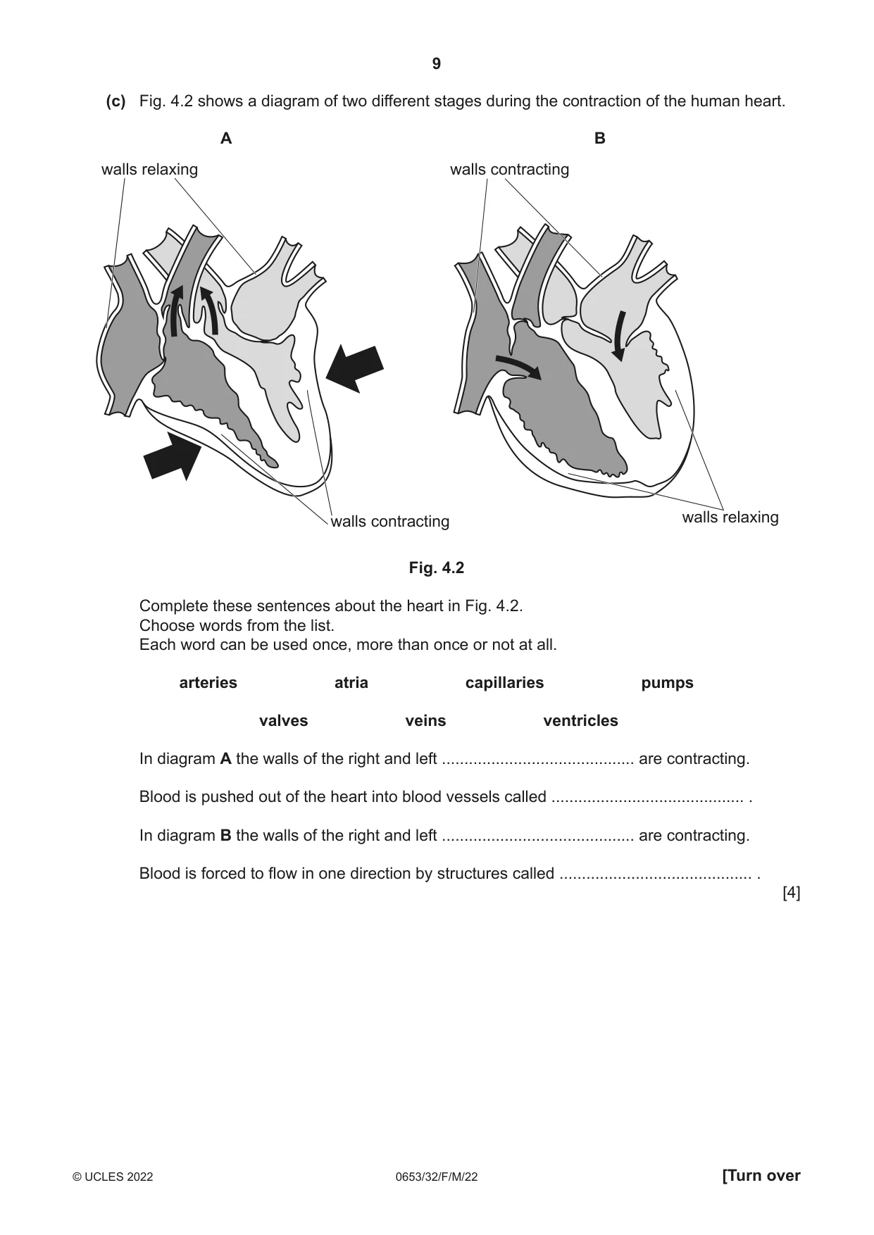 Cambridge IGCSE Science - Combined 0653 2022 Feb/March Paper 3 · Variant 2 question paper, page 9 of 24