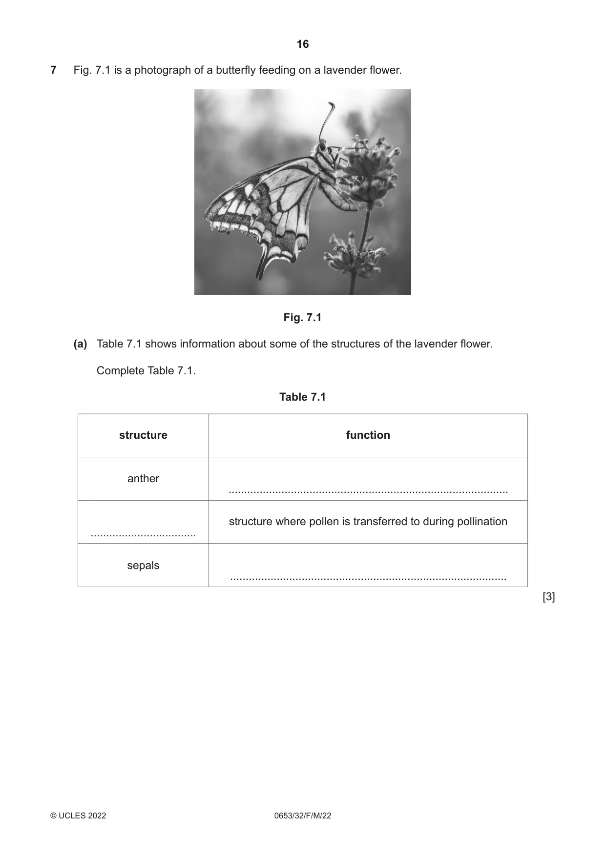 Cambridge IGCSE Science - Combined 0653 2022 Feb/March Paper 3 · Variant 2 question paper, page 16 of 24