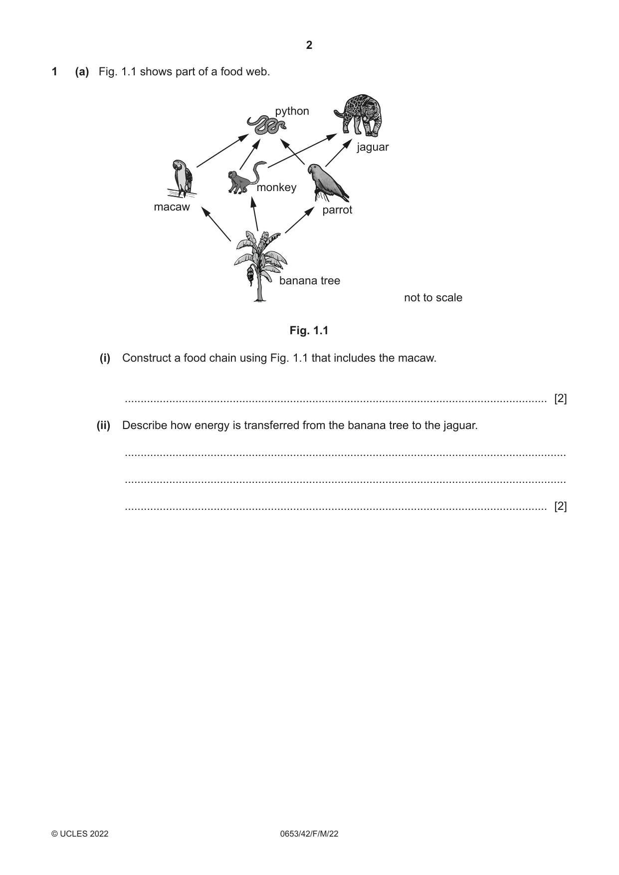 Cambridge IGCSE Science - Combined 0653 2022 Feb/March Paper 4 · Variant 2 question paper, page 2 of 24