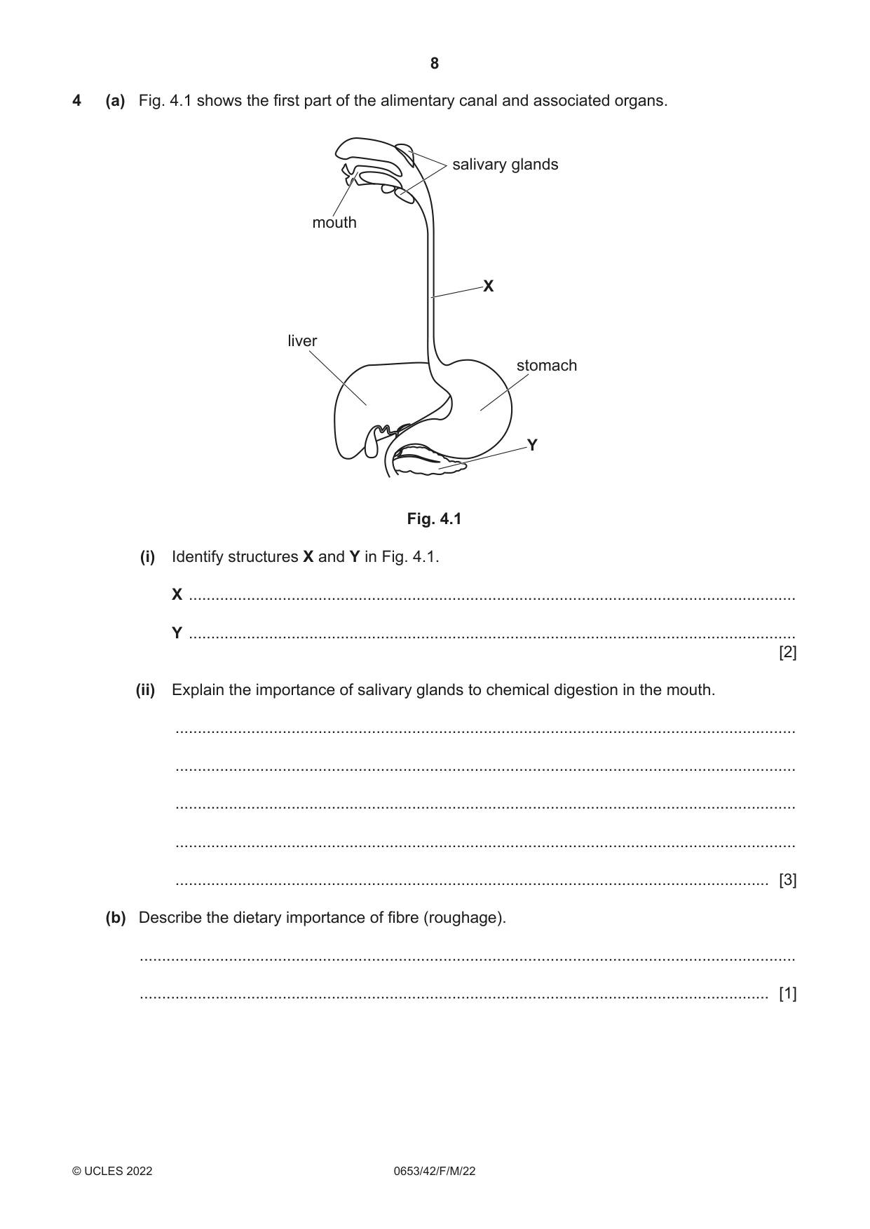 Cambridge IGCSE Science - Combined 0653 2022 Feb/March Paper 4 · Variant 2 question paper, page 8 of 24