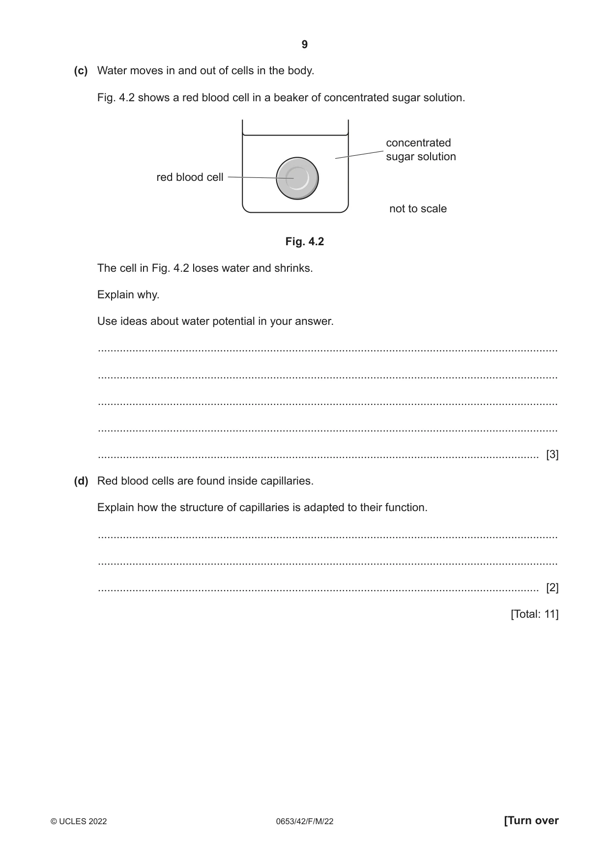 Cambridge IGCSE Science - Combined 0653 2022 Feb/March Paper 4 · Variant 2 question paper, page 9 of 24