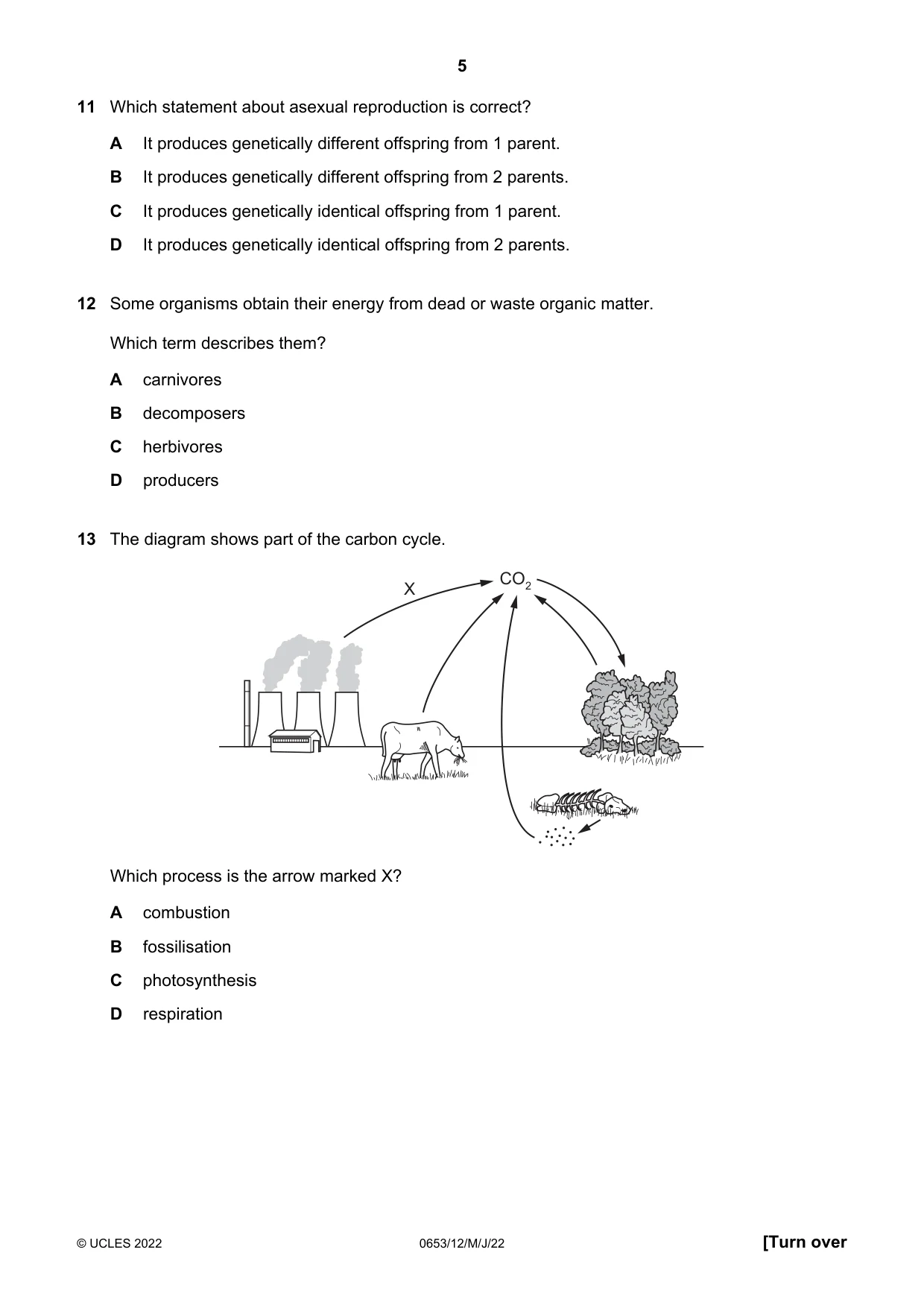 Cambridge IGCSE Science - Combined 0653 2022 May/June Paper 1 · Variant 2 question paper, page 5 of 16