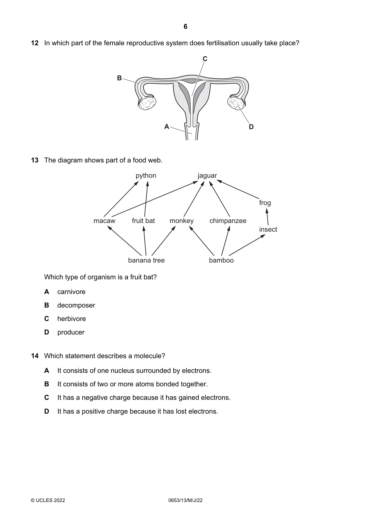 Cambridge IGCSE Science - Combined 0653 2022 May/June Paper 1 · Variant 3 question paper, page 6 of 16