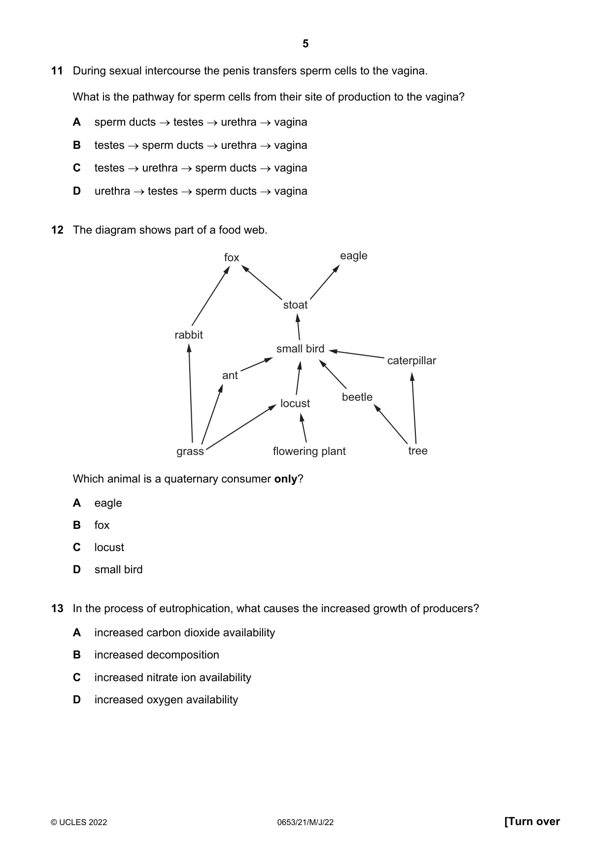 Cambridge IGCSE Science - Combined 0653 2022 May/June Paper 2 · Variant 1 question paper, page 5 of 16