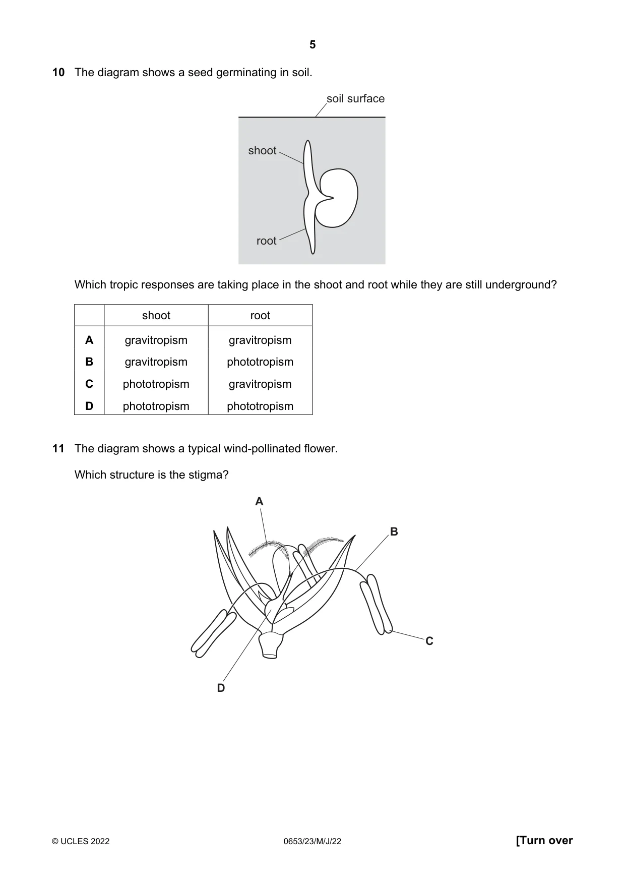 Cambridge IGCSE Science - Combined 0653 2022 May/June Paper 2 · Variant 3 question paper, page 5 of 16