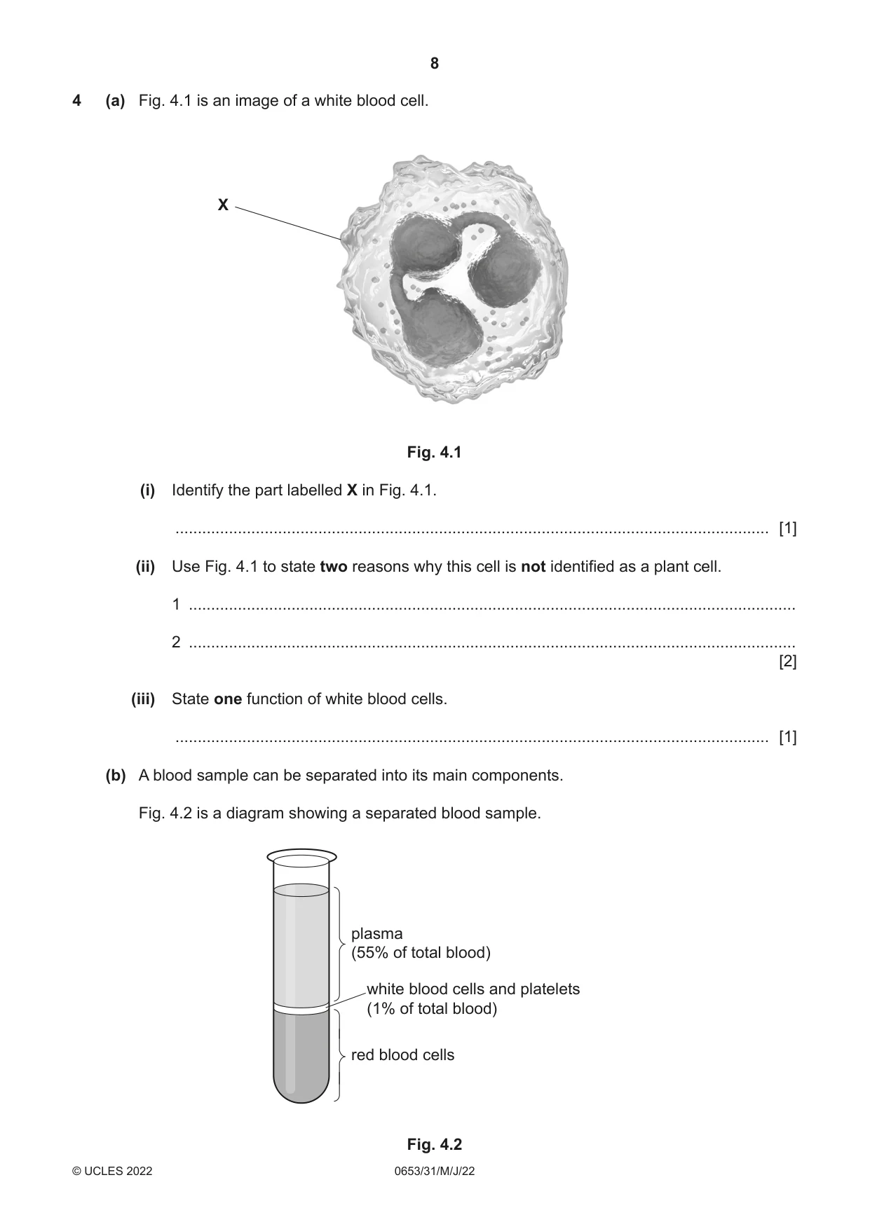 Cambridge IGCSE Science - Combined 0653 2022 May/June Paper 3 · Variant 1 question paper, page 8 of 20