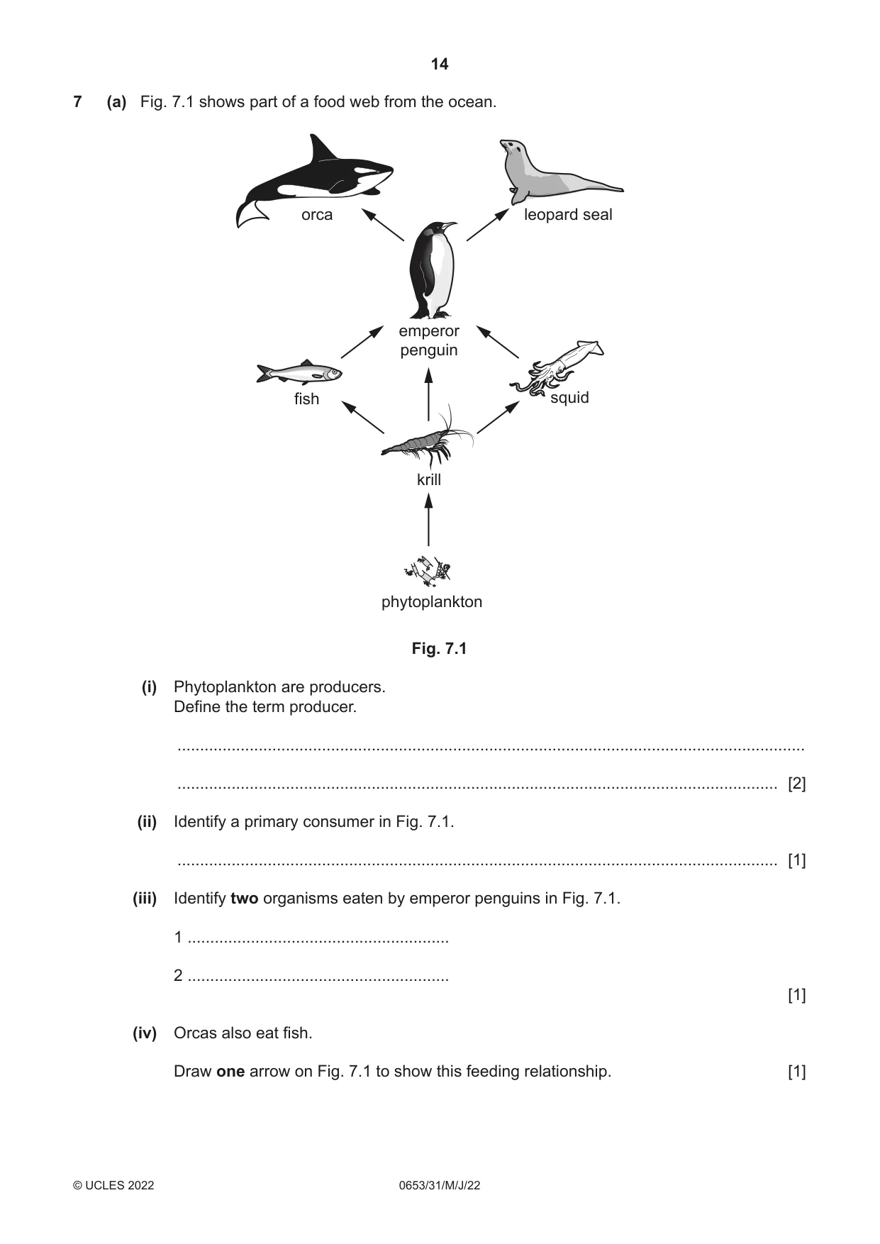 Cambridge IGCSE Science - Combined 0653 2022 May/June Paper 3 · Variant 1 question paper, page 14 of 20